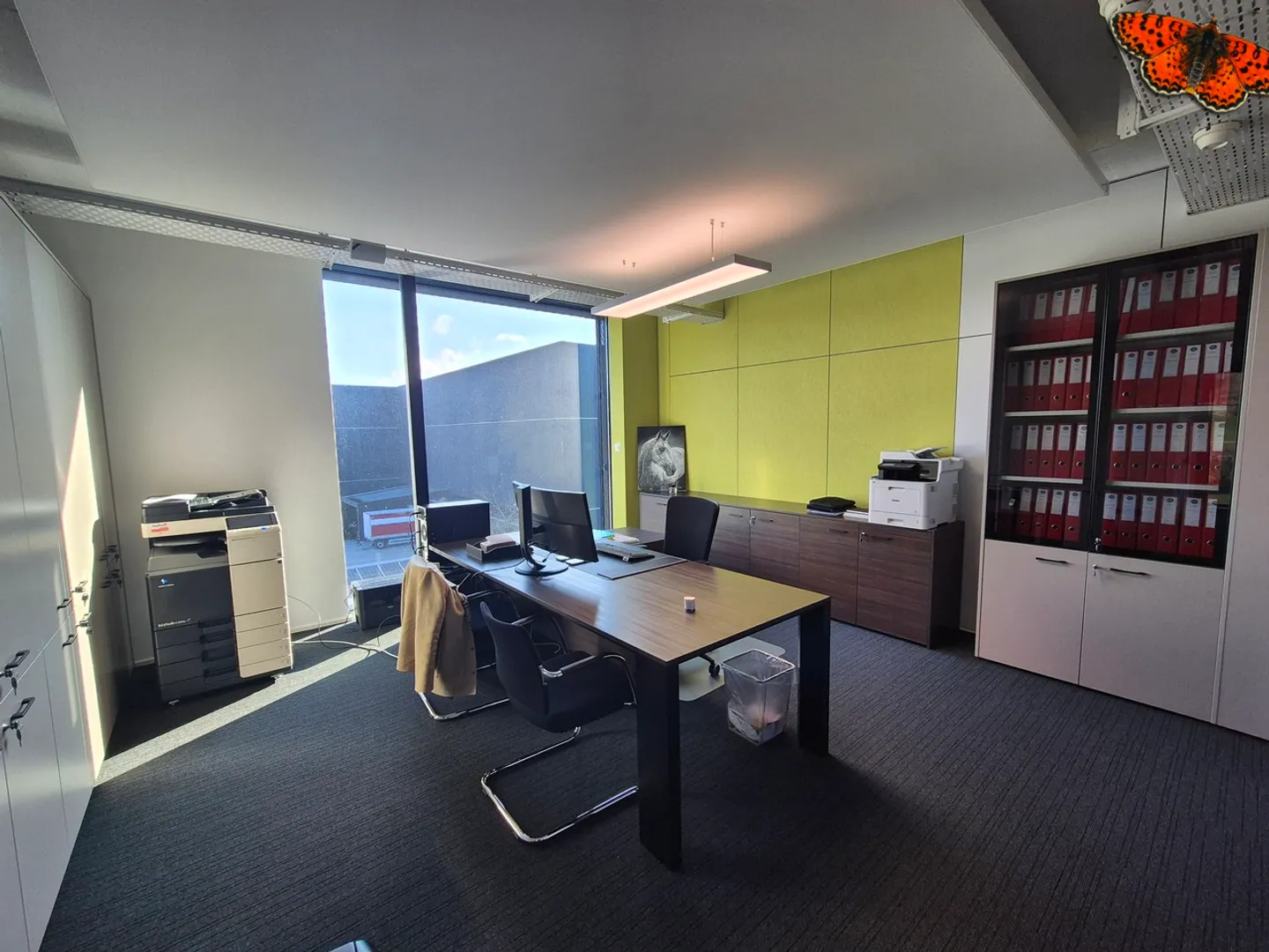 OPPORTUNITY - LARGE OFFICES FOR RENT - BULLE - Photo 9 of 20