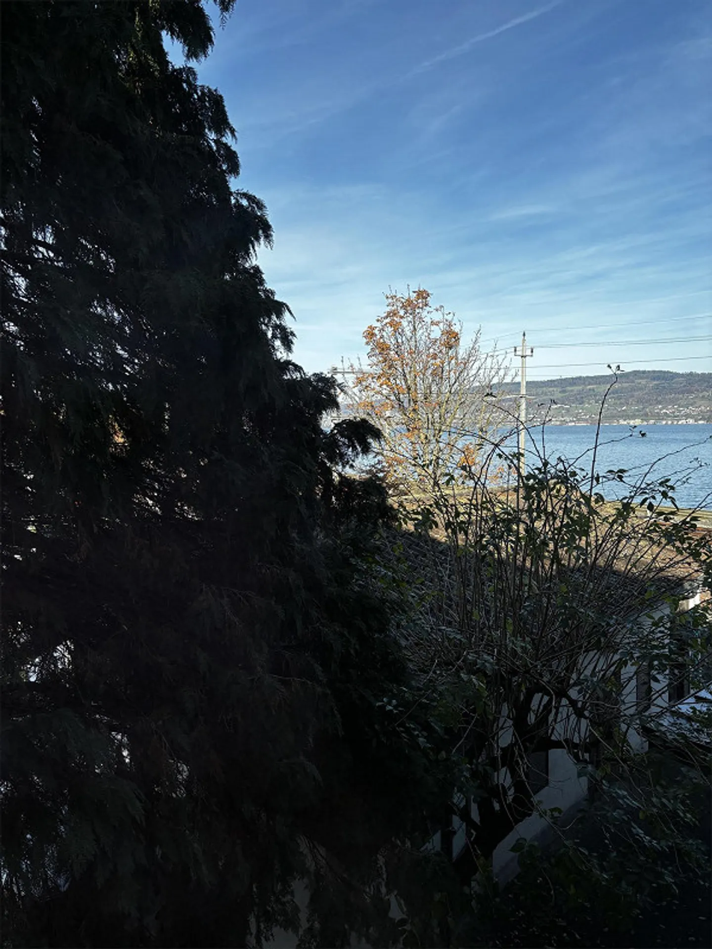 2-room flat by Lake Zurich, available from December 1, 2025 (flexible) - Photo 9 of 14