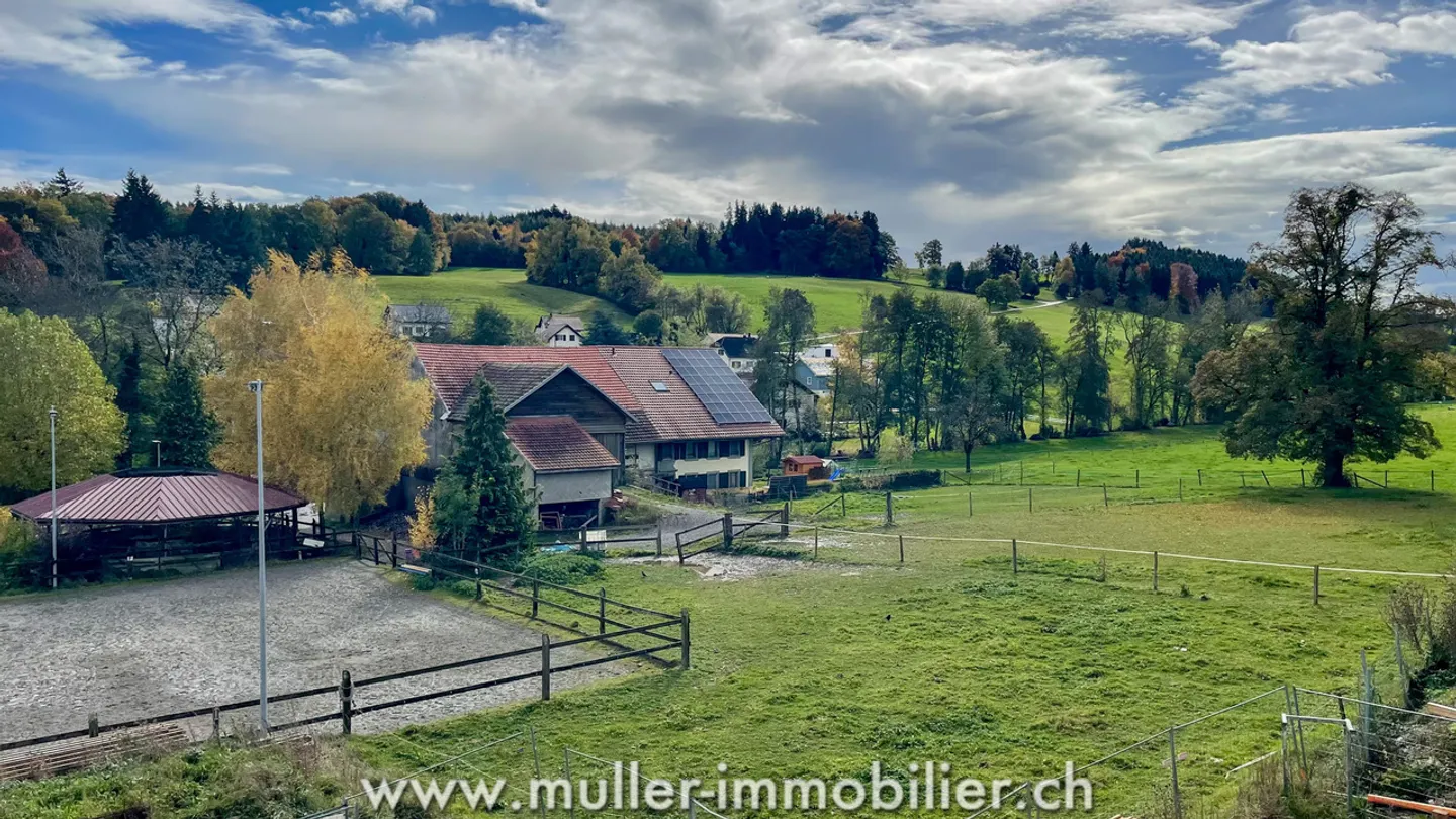 Magnifique attique neuf à Chavannes-les-Forts, Siviriez - Photo 8 sur 12
