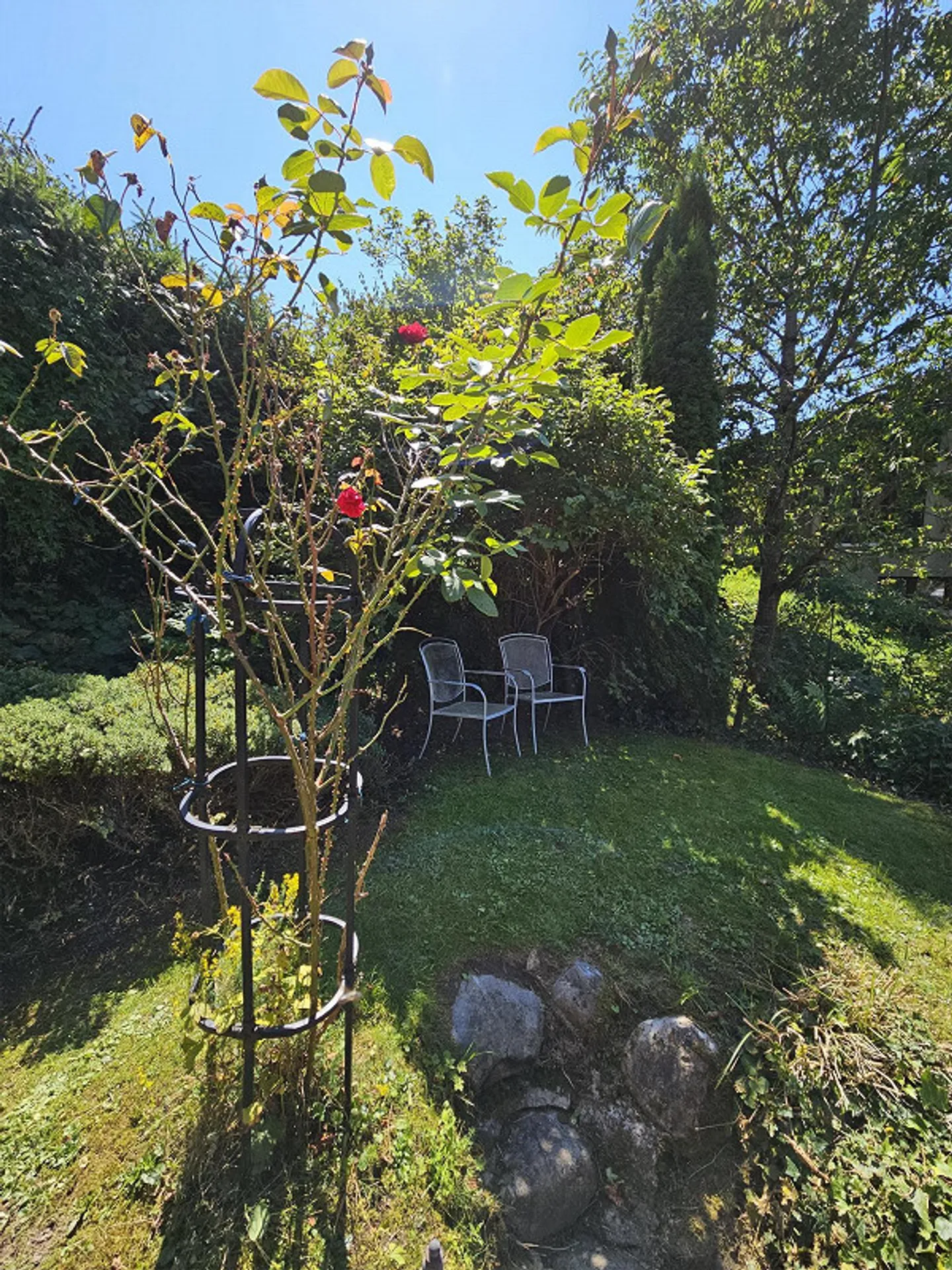 Einfamilienhaus, ruhig, gute Verkehrsanschliessung, tolle Aussicht - Foto 5 von 16