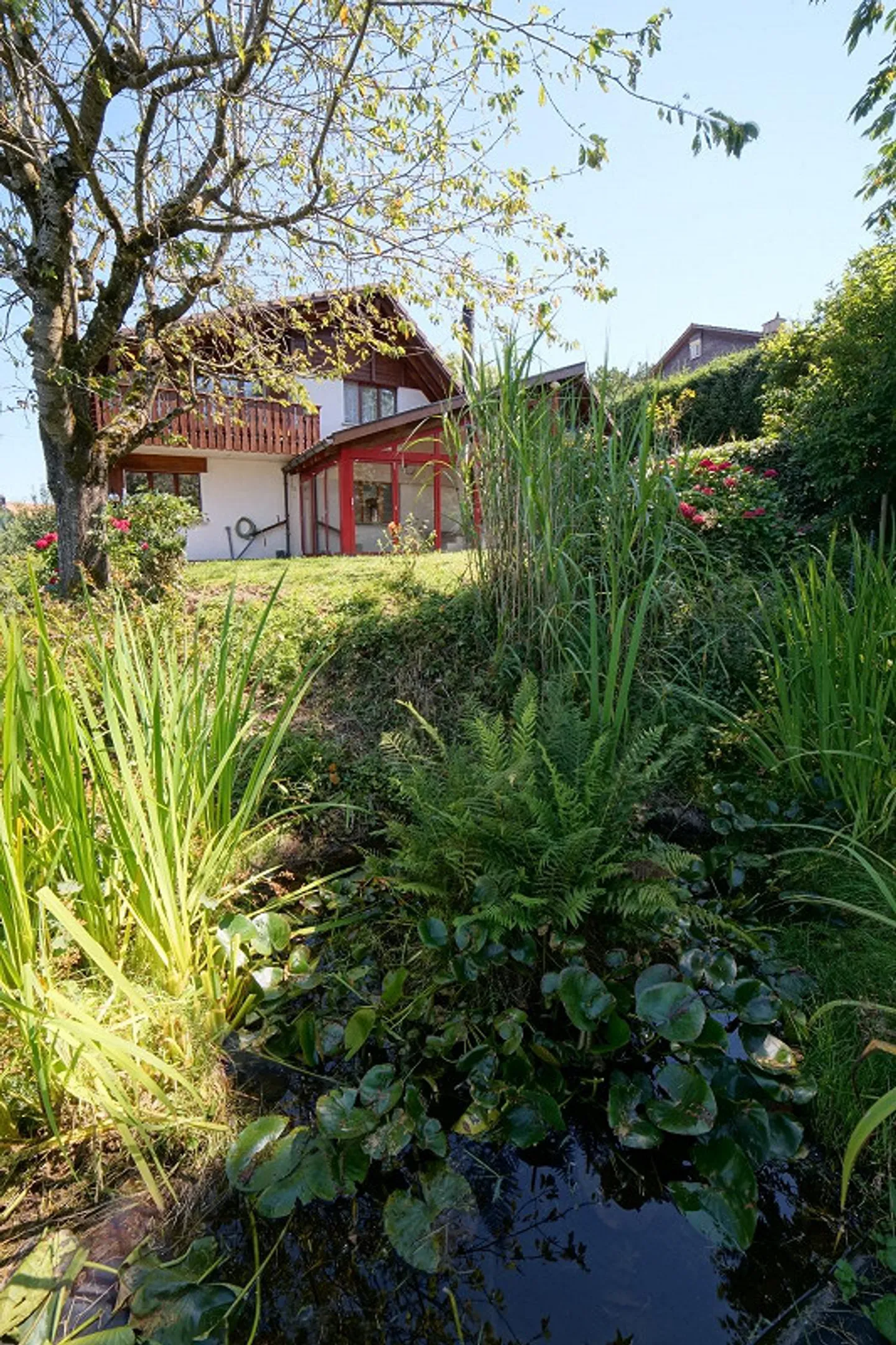 Einfamilienhaus, ruhig, gute Verkehrsanschliessung, tolle Aussicht - Foto 6 von 16