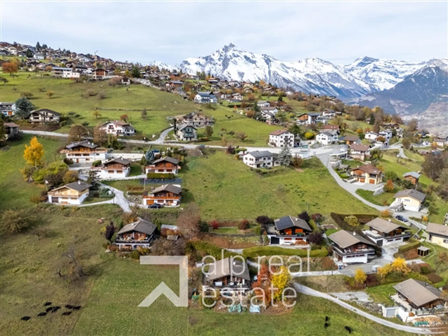 «Wunderschönes Baugrundstück» - Foto 8 von 9