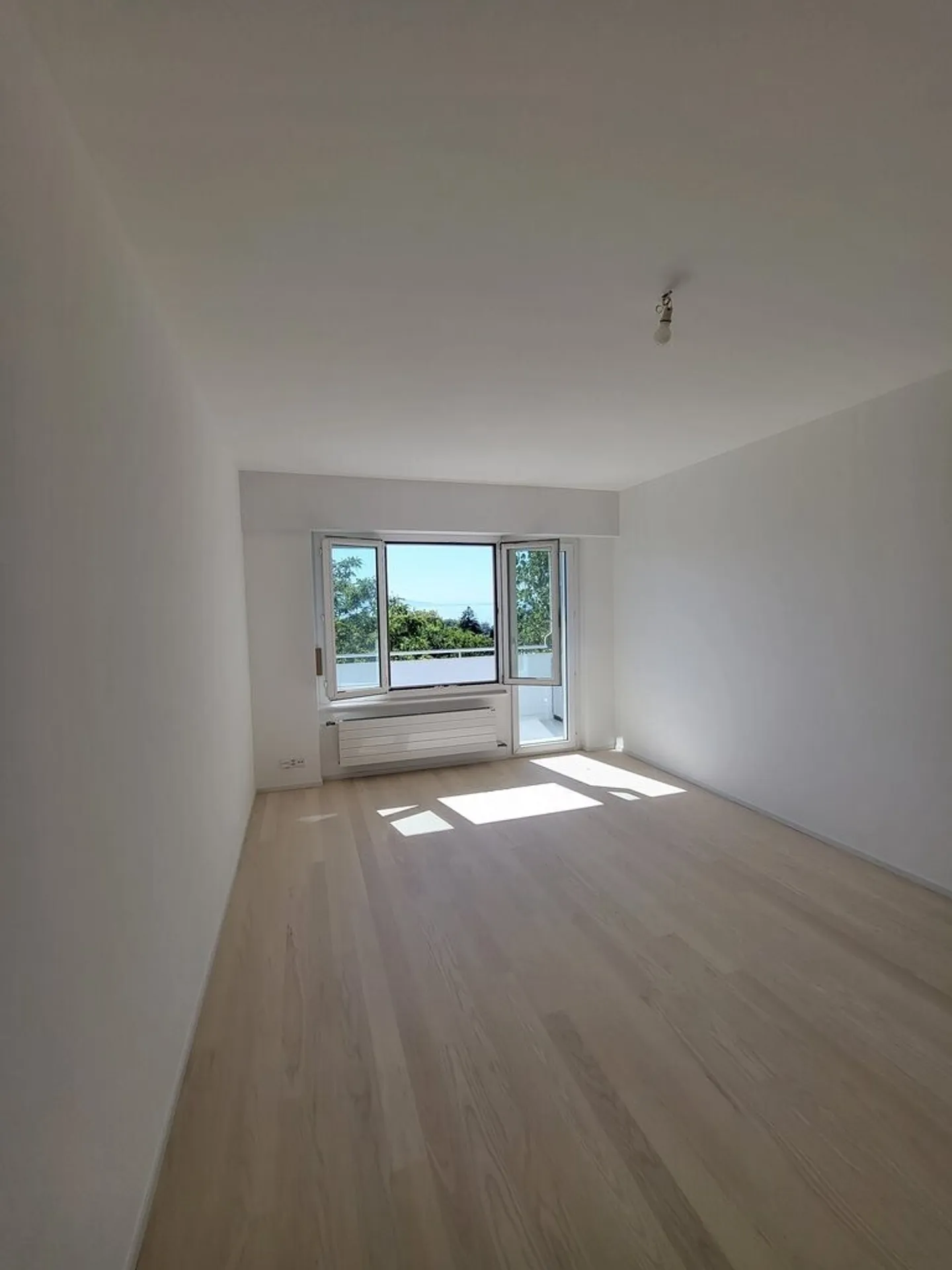 Bellissimo appartamento di 3,5 stanze completamente ristrutturato con vista sul lago - Foto 4 di 7