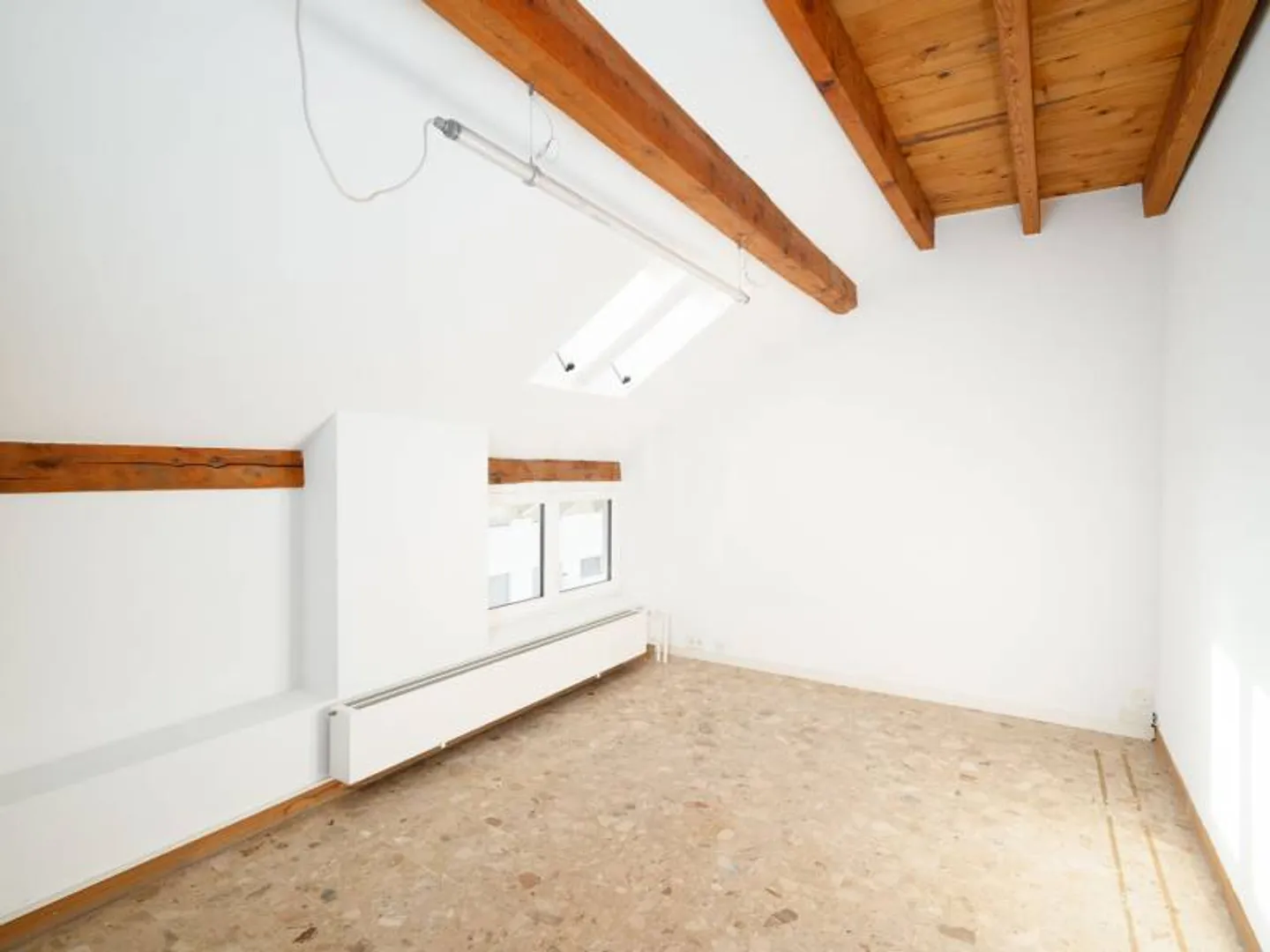 Uffici con molto spazio - Carouge GE - Foto 5 di 7