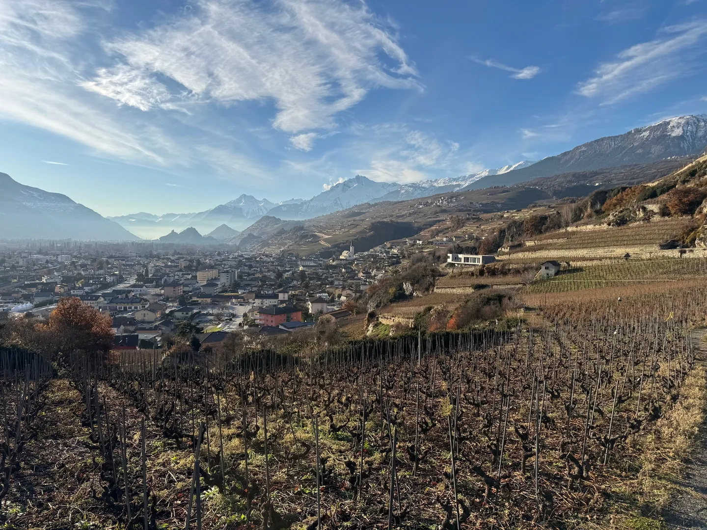 Land / St-Léonard / Not parcelable! / EXCLUSIVITY / Ref. 10245452 - Photo 1 of 6