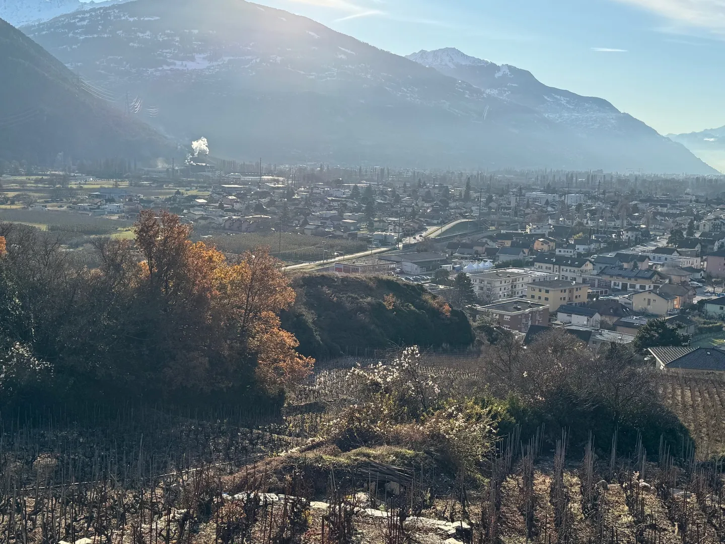 Land / St-Léonard / Not parcelable! / EXCLUSIVITY / Ref. 10245452 - Photo 4 of 6