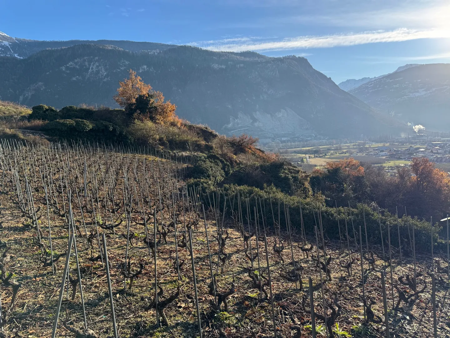 Land / St-Léonard / Not parcelable! / EXCLUSIVITY / Ref. 10245452 - Photo 5 of 6