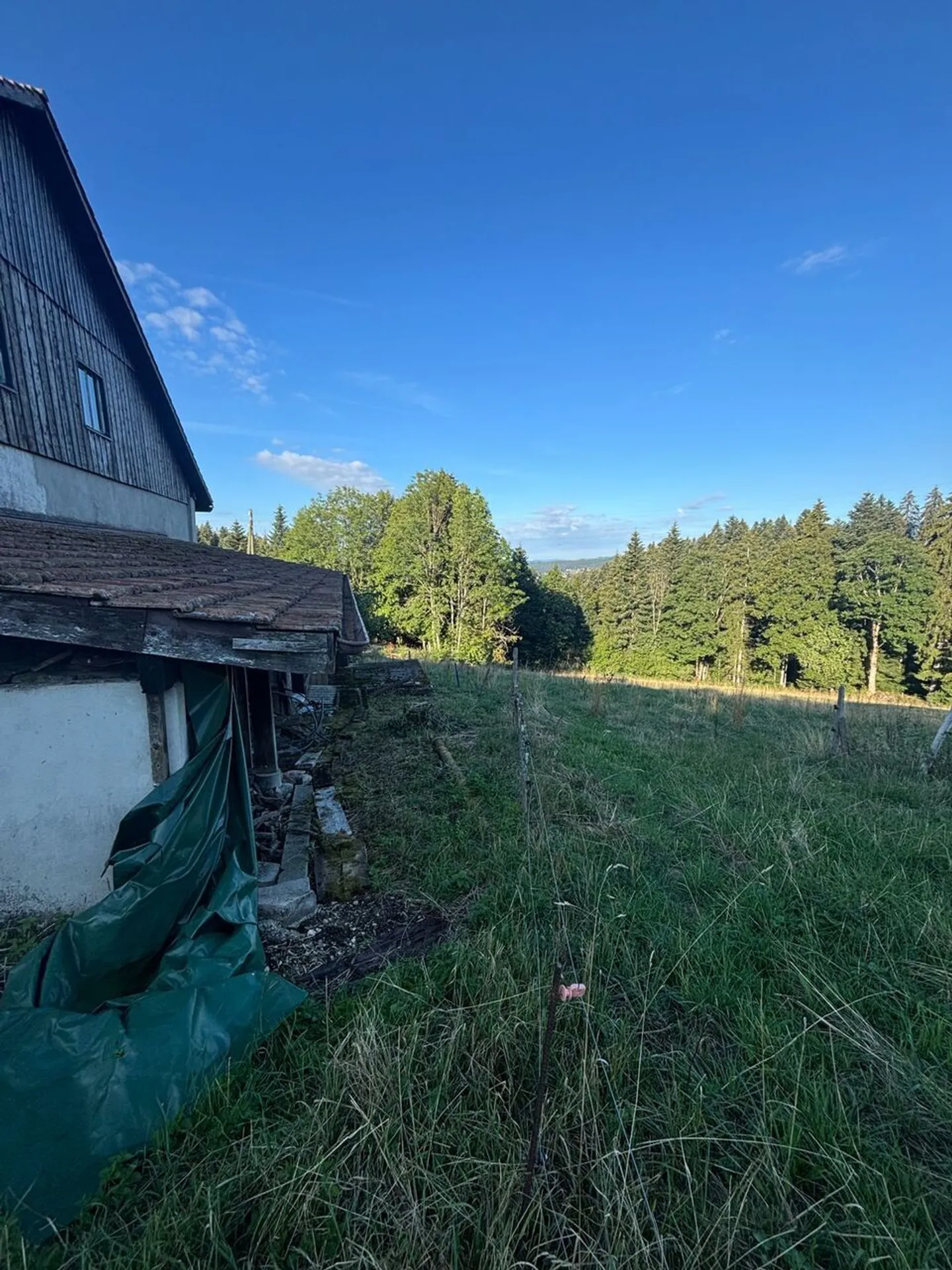 Wunderschöner Bauernhof mit Pferdebox und über 2.900 Quadratmetern Land - Foto 5 von 6