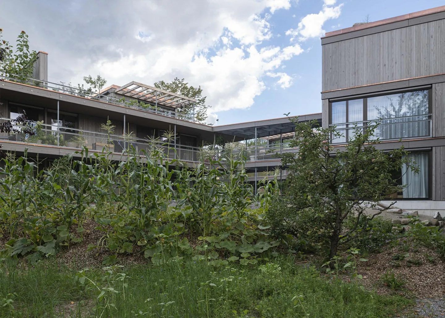 Vivere sugli alberi: appartamento di 3,5 stanze - Foto 1 di 4