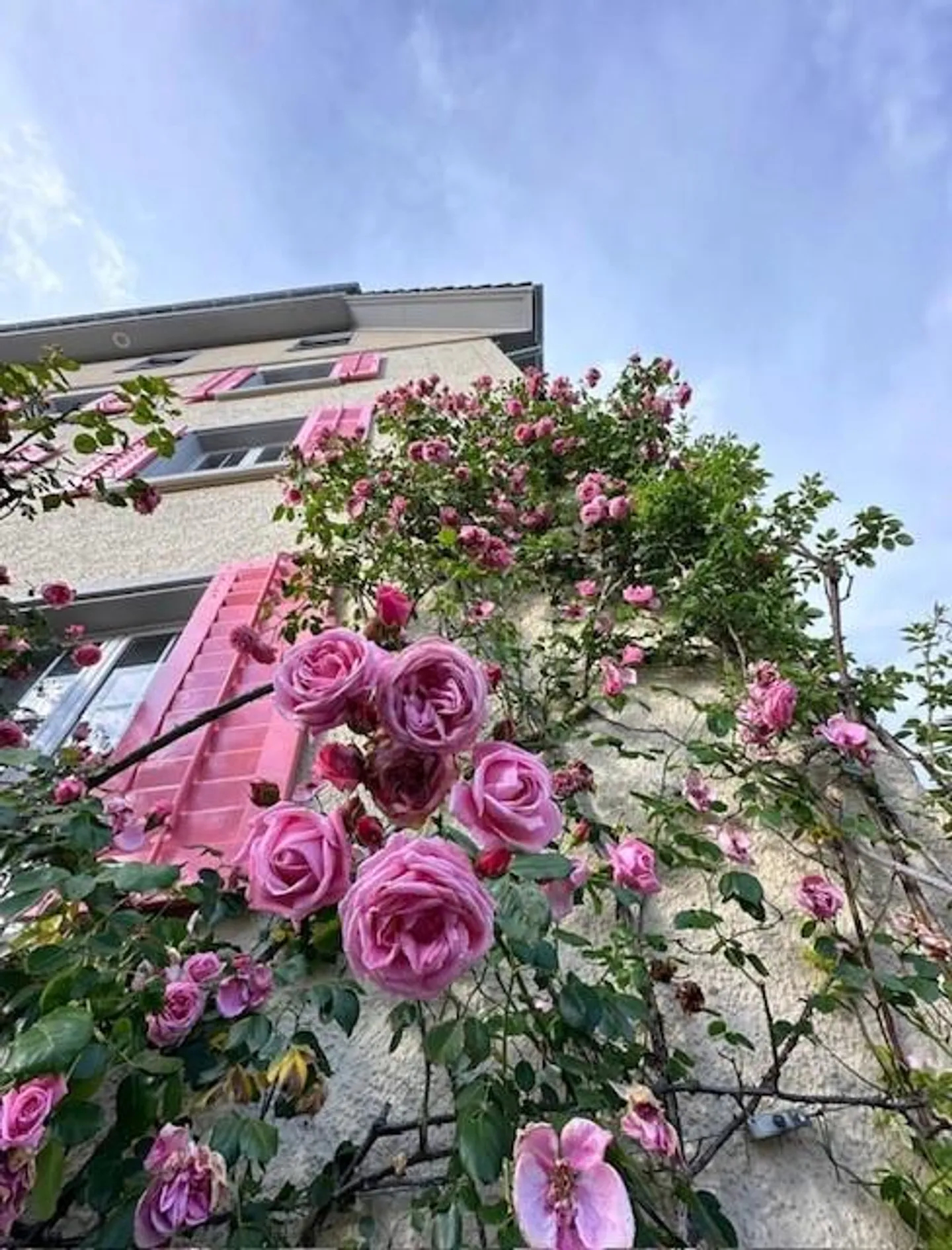 Charmante Wohnung an der Limmat - Foto 2 von 27