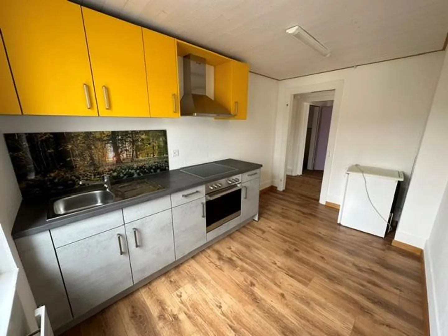 Charmante Wohnung an der Limmat - Foto 15 von 27