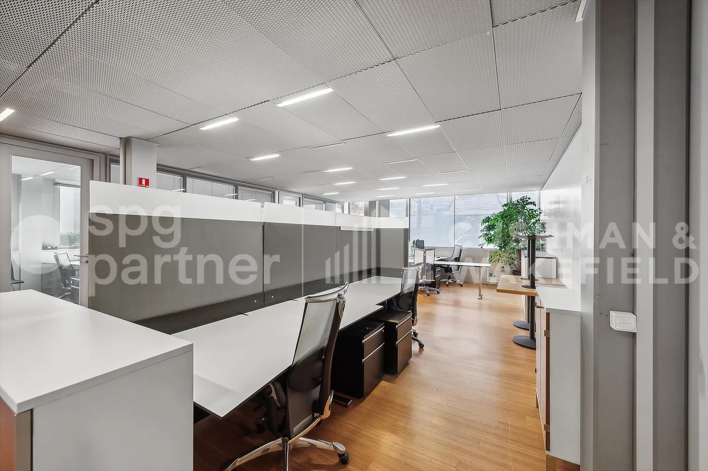 Attrezzature per ufficio 5 - Uffici di alta qualità con servizi inclusivi - 339 m² a Vésenaz - Foto 3 di 7