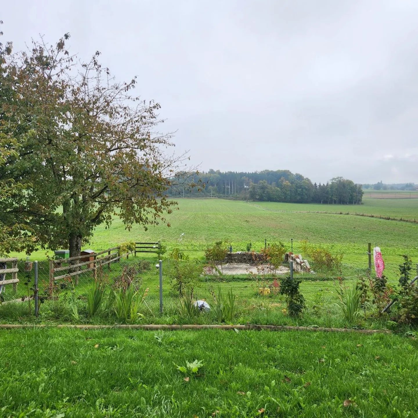 Superb detached property with large plot - Photo 11 of 13