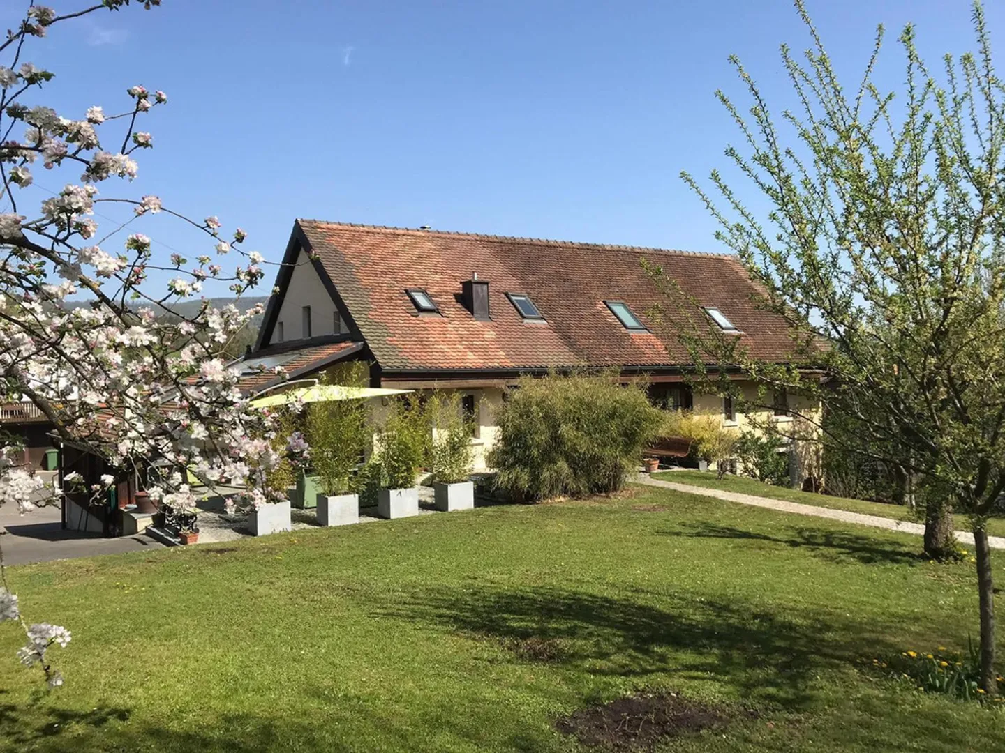 Ein Garten, der vor neugierigen Blicken geschützt ist, und ein modulares Interieur - Foto 1 von 12