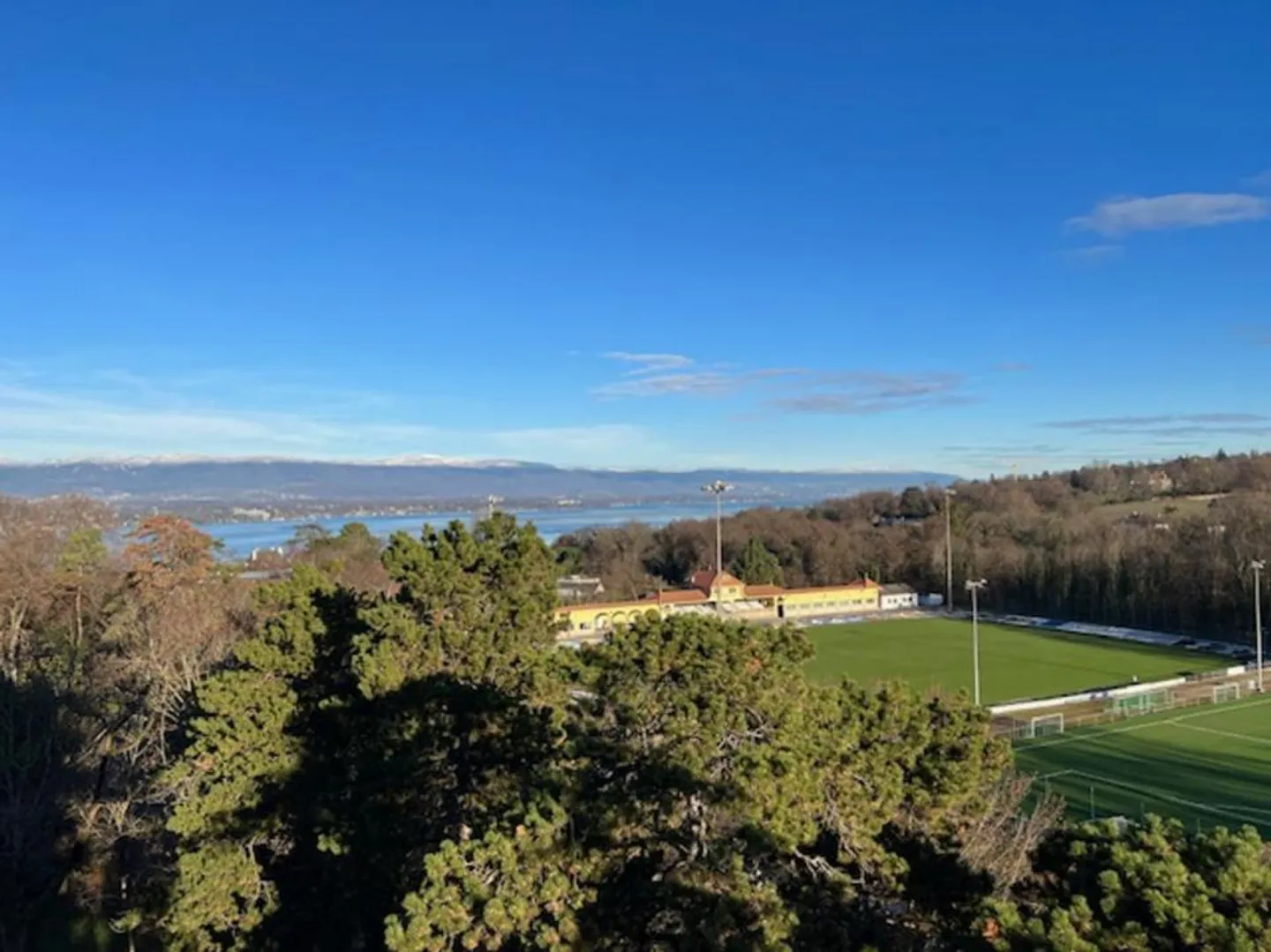 Oggetto raro a Cologny Parc - Vista maestosa, assoluta tranquillità, indirizzo prestigioso - Foto 2 di 2