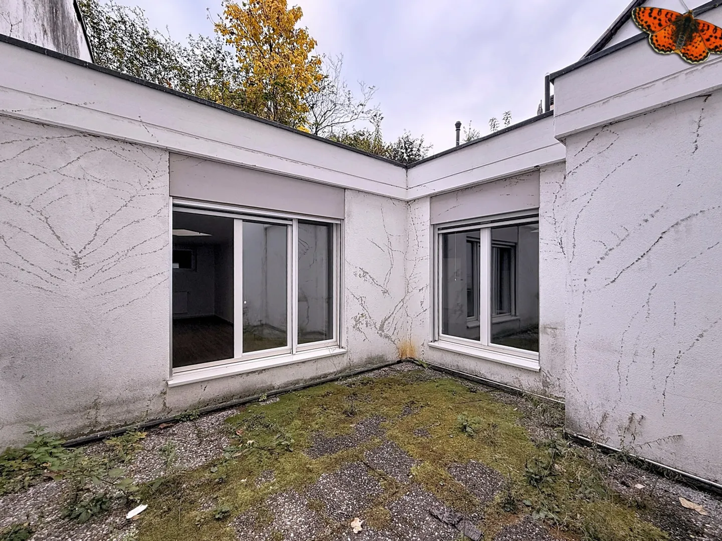 4.5 Room Apartment - Photo 4 of 9