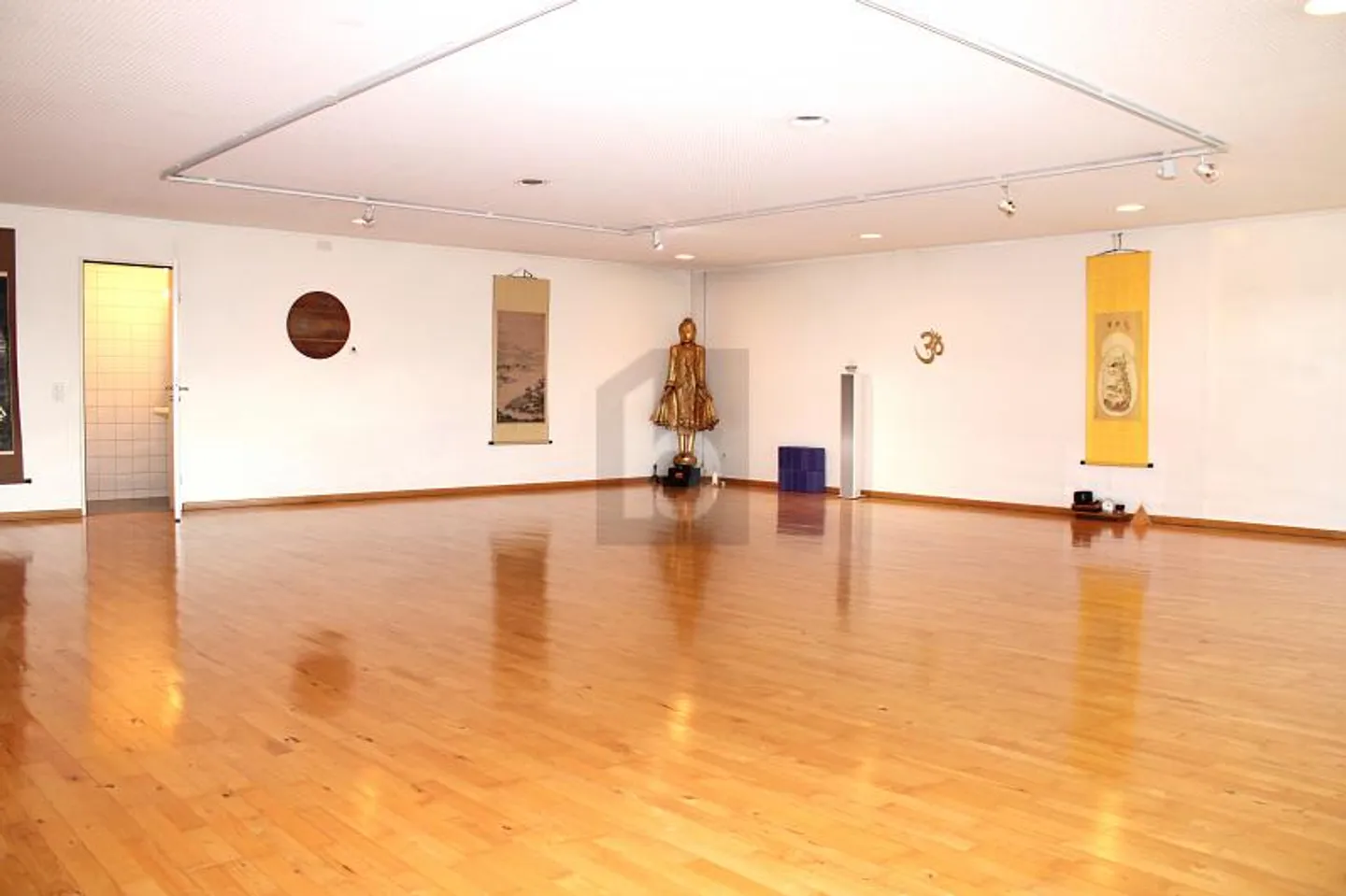 LUCIDO CON SPOGLIATOIO, DOCCIA E SAUNA - Foto 2 di 5