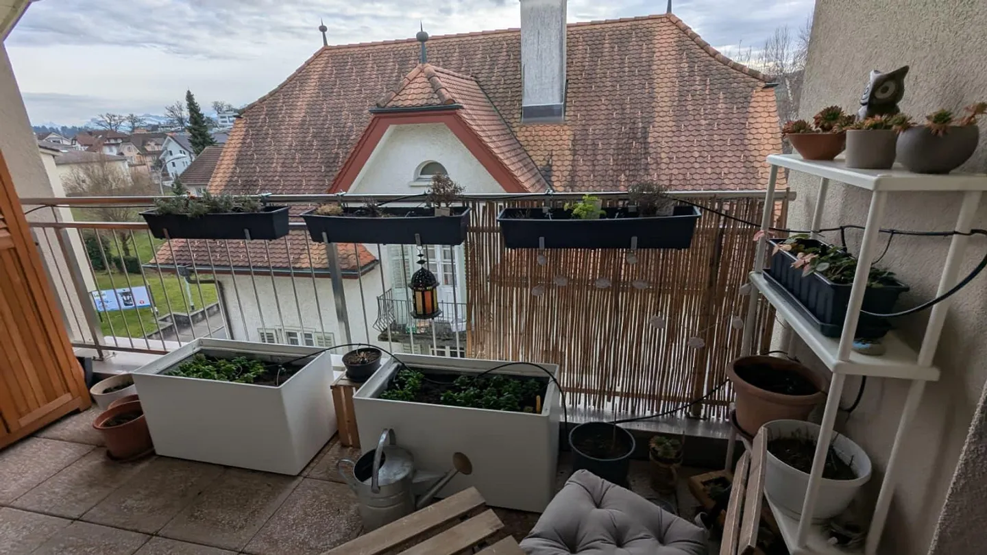 3 ½ Room Apartment for Rent in Sempach Station - Photo 7 of 7