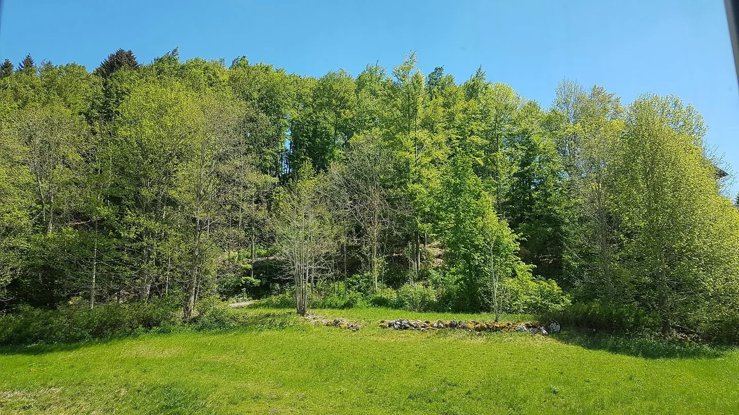 Charming 4-Room Apartment - Photo 15 of 15