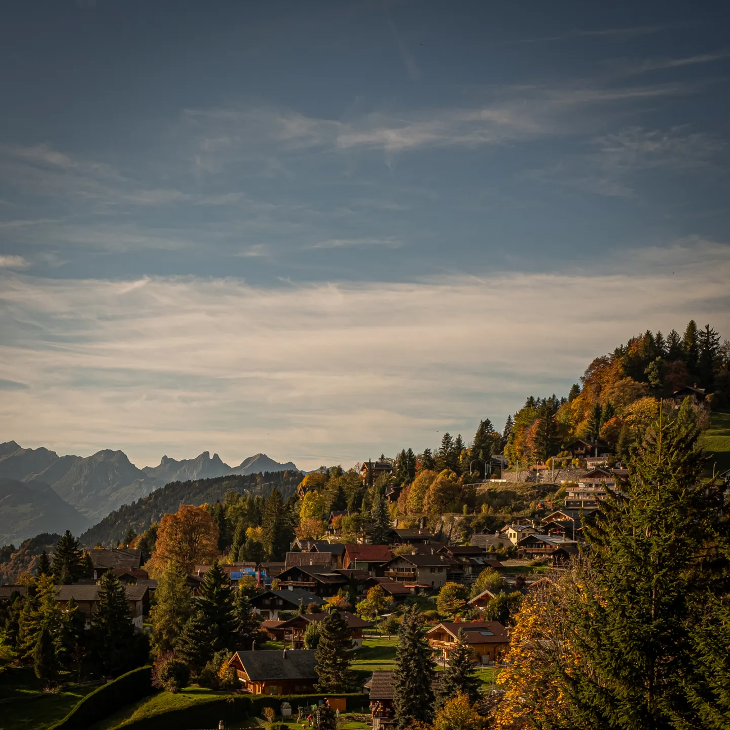 Appartamento 3.5 locali - Foto 13 di 14