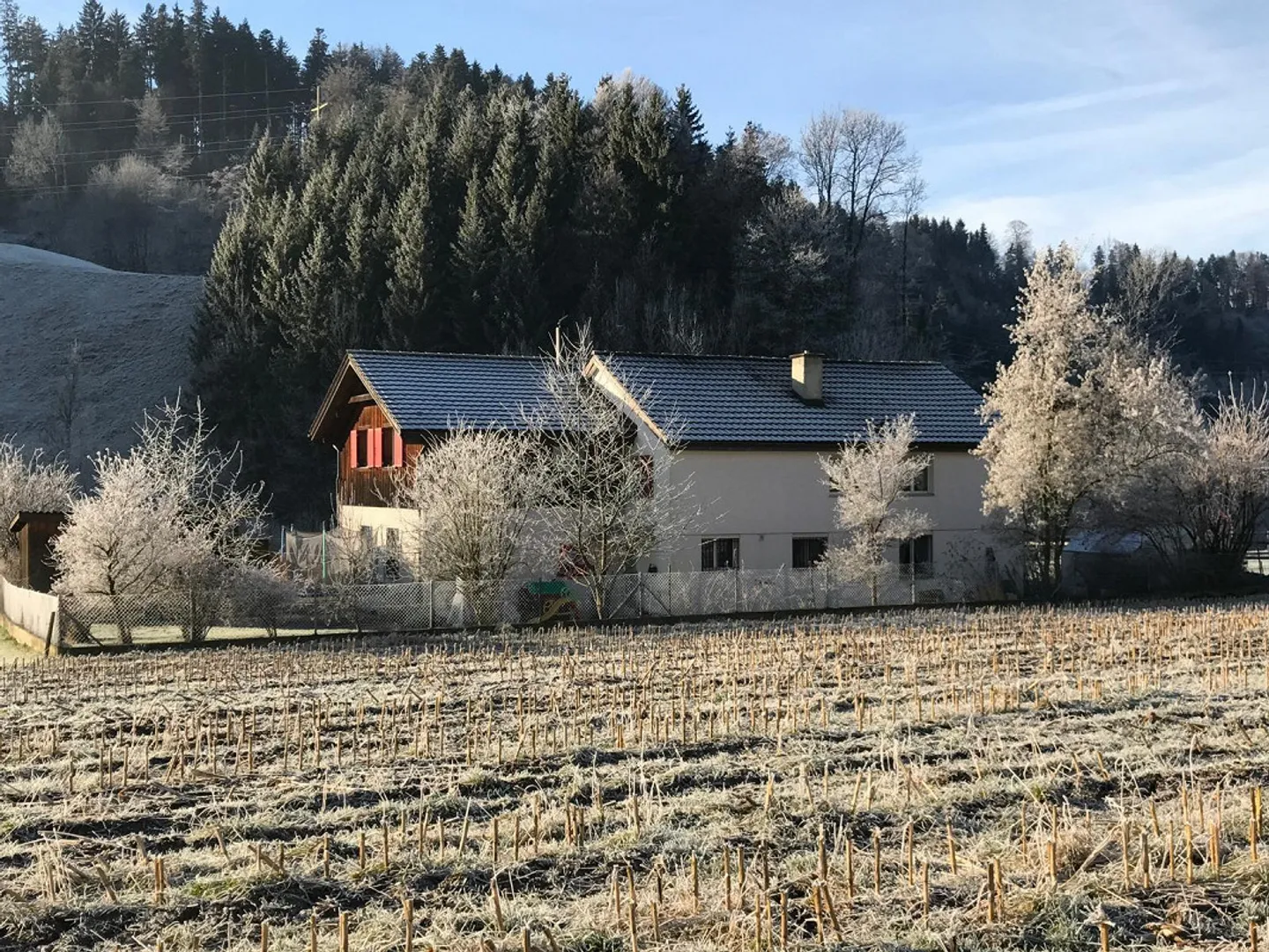 PER ARTIGIANI? - CASA UNIFAMILIARE CON OFFICINA! - Foto 3 di 13