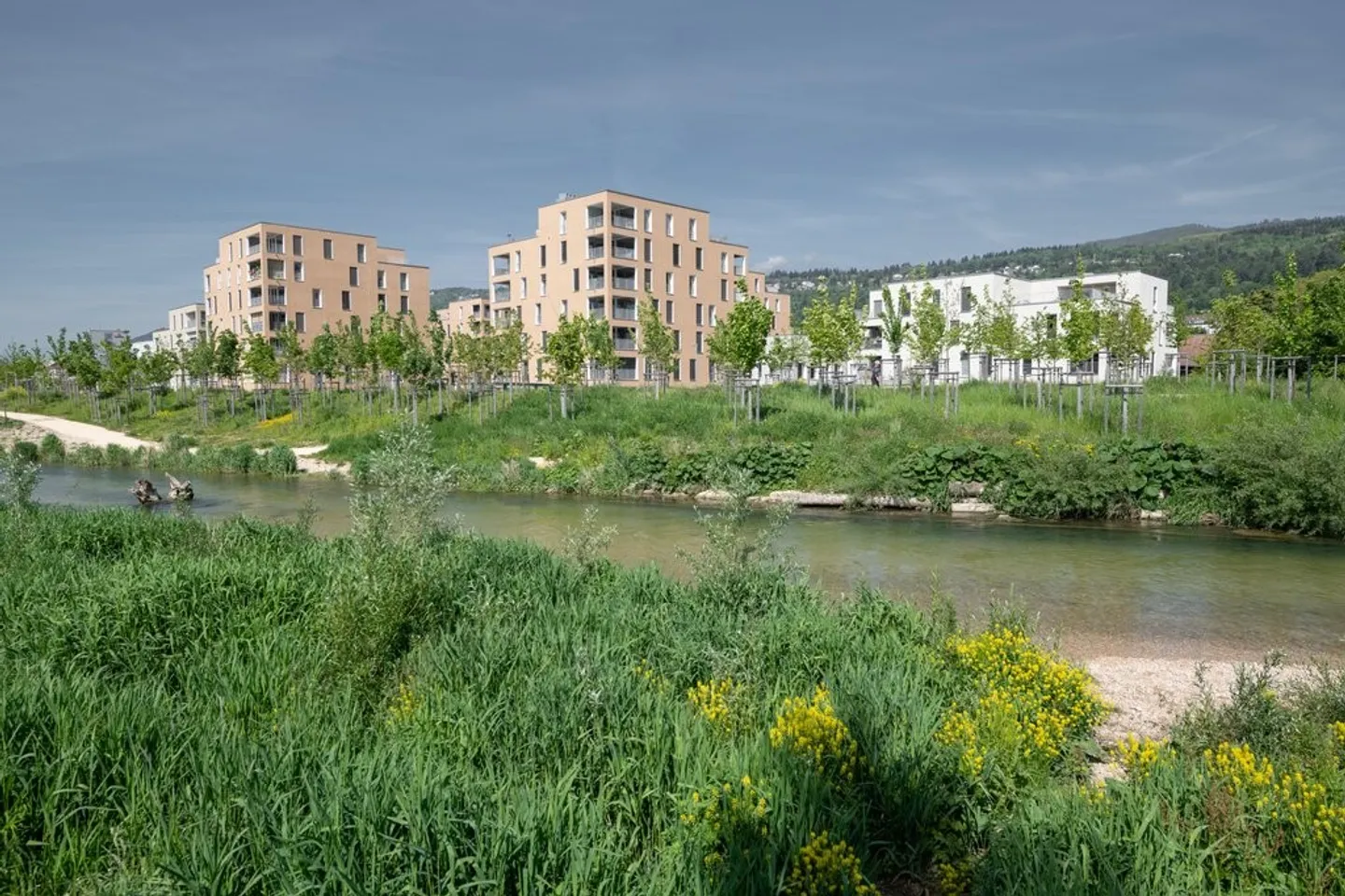 Bright 3.5-room apartment with a view of the Bieler Schüssinsel - Photo 9 of 11