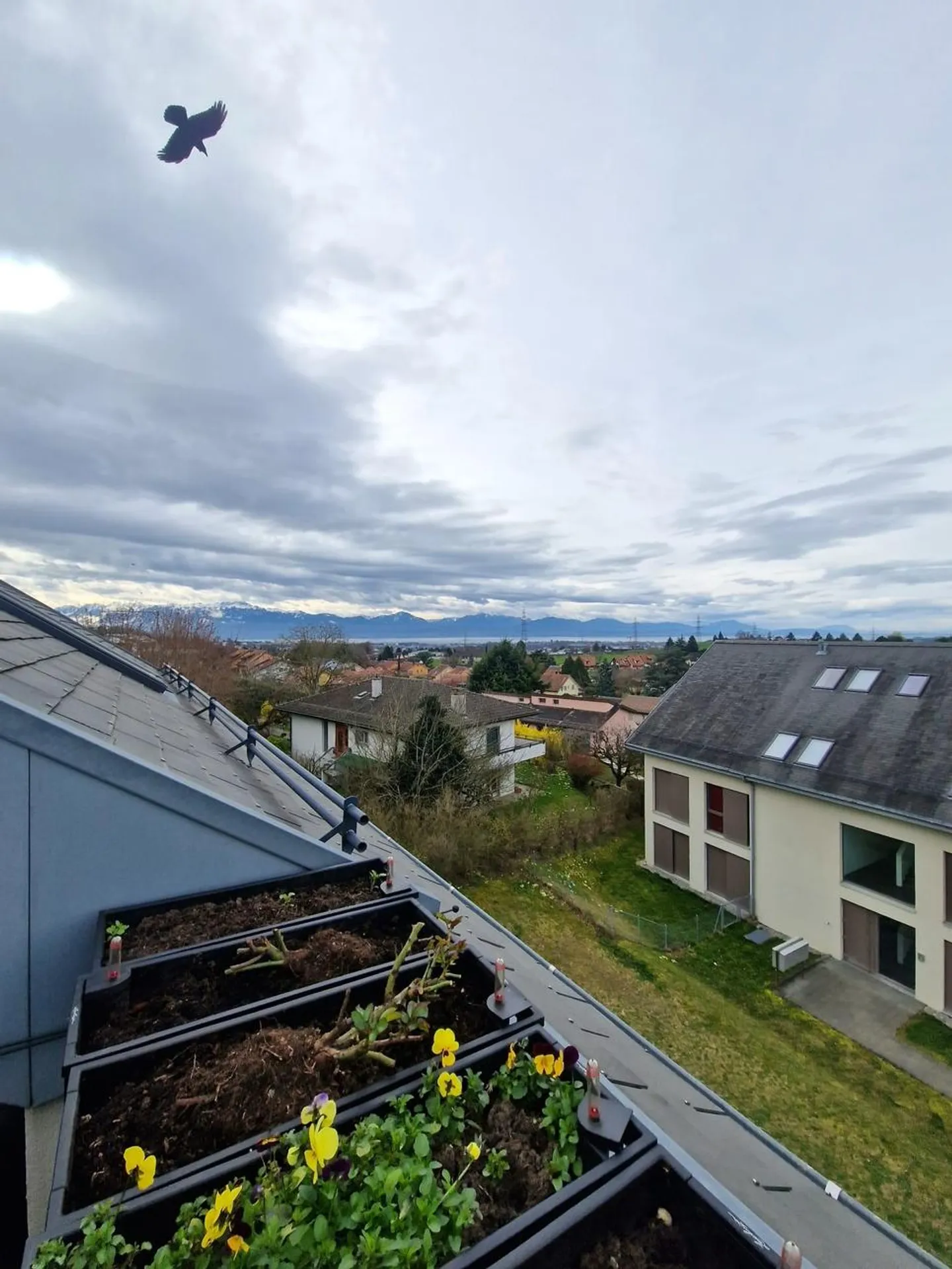 Stunning recent duplex of 3.5 rooms with partial lake view - Photo 11 of 12