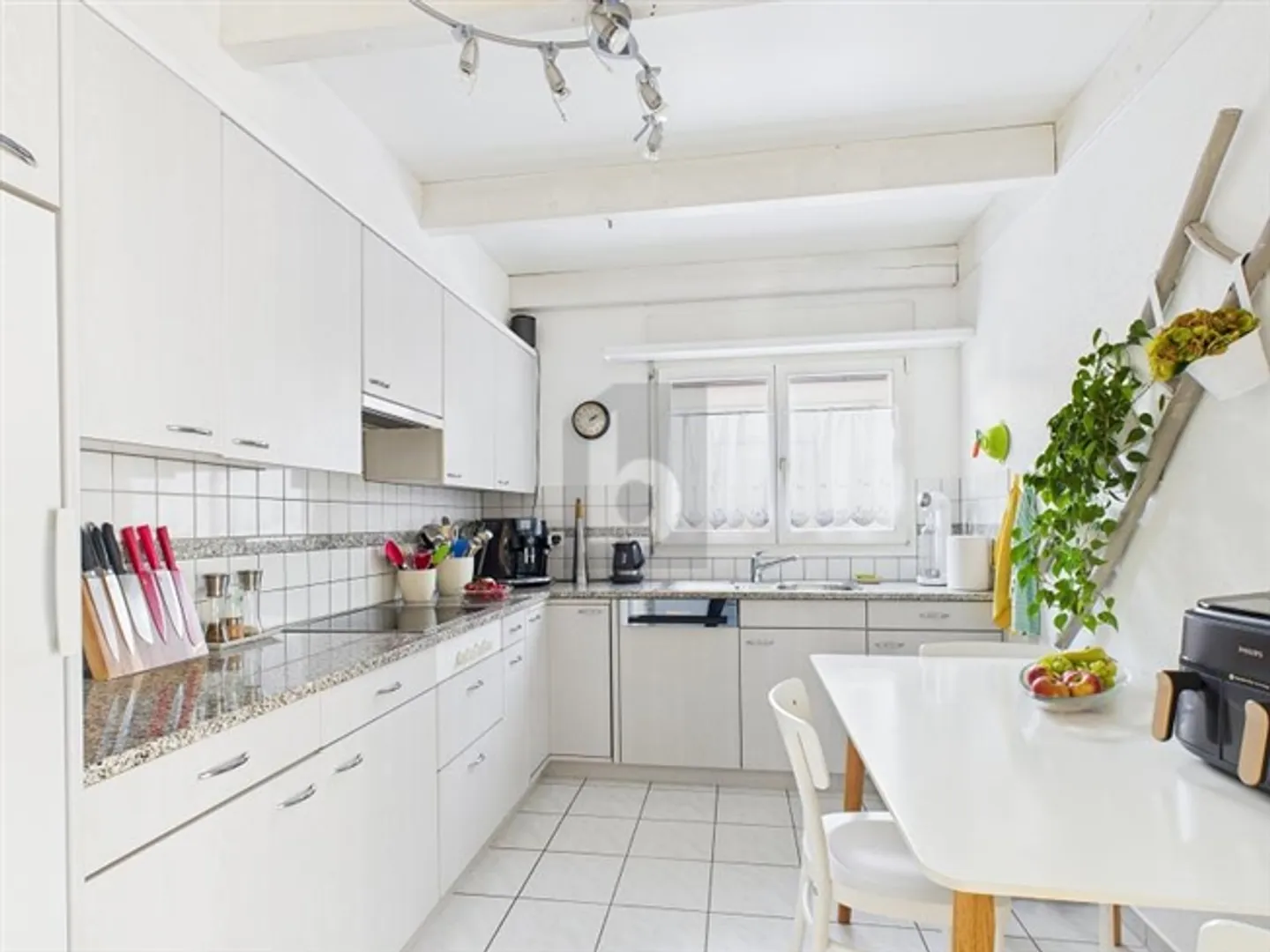 ILLUMINATO CON GIARDINO PARADISIACO - Foto 3 di 6