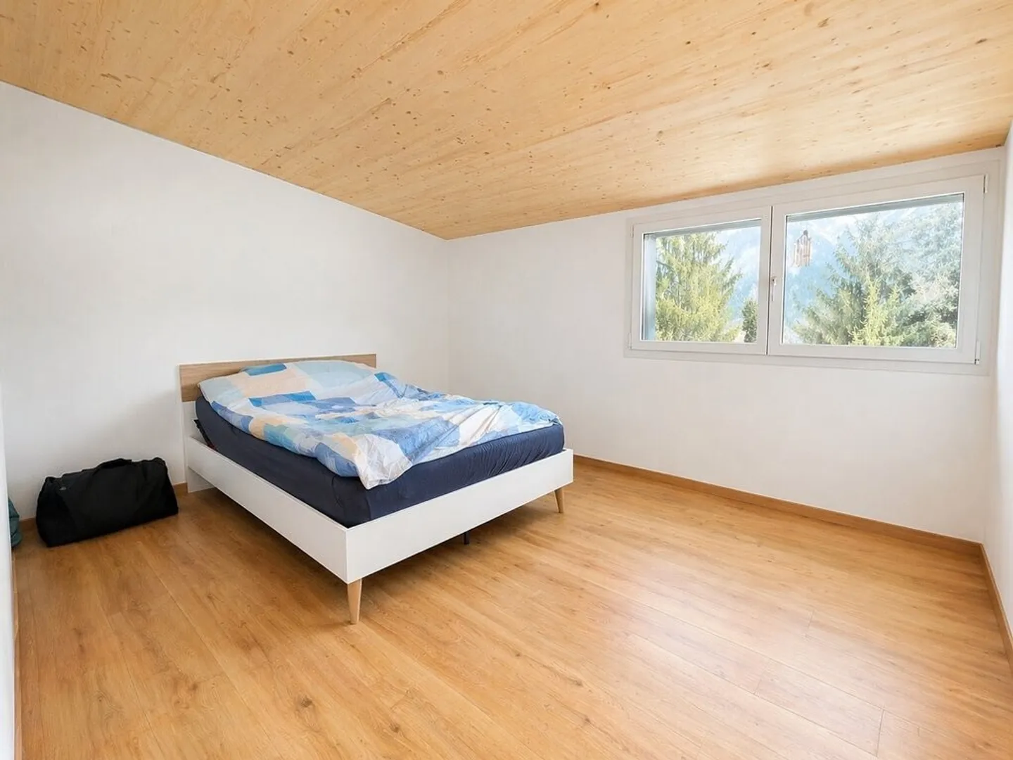 Bright 2.5 Room Apartment - Photo 4 of 5