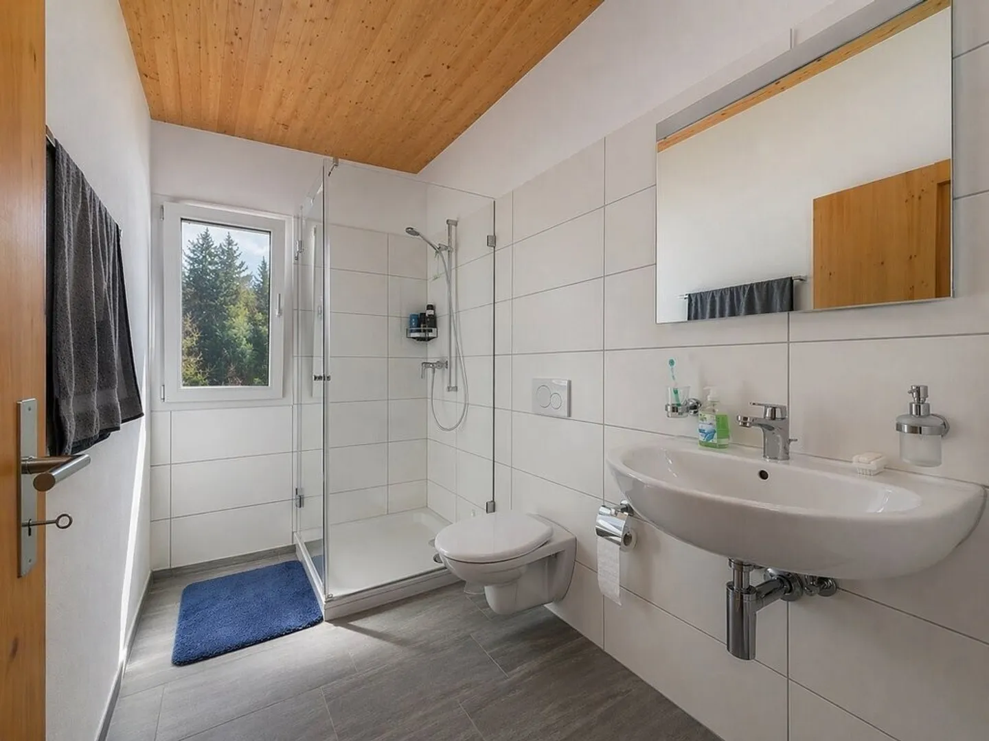 Bright 2.5 Room Apartment - Photo 5 of 5