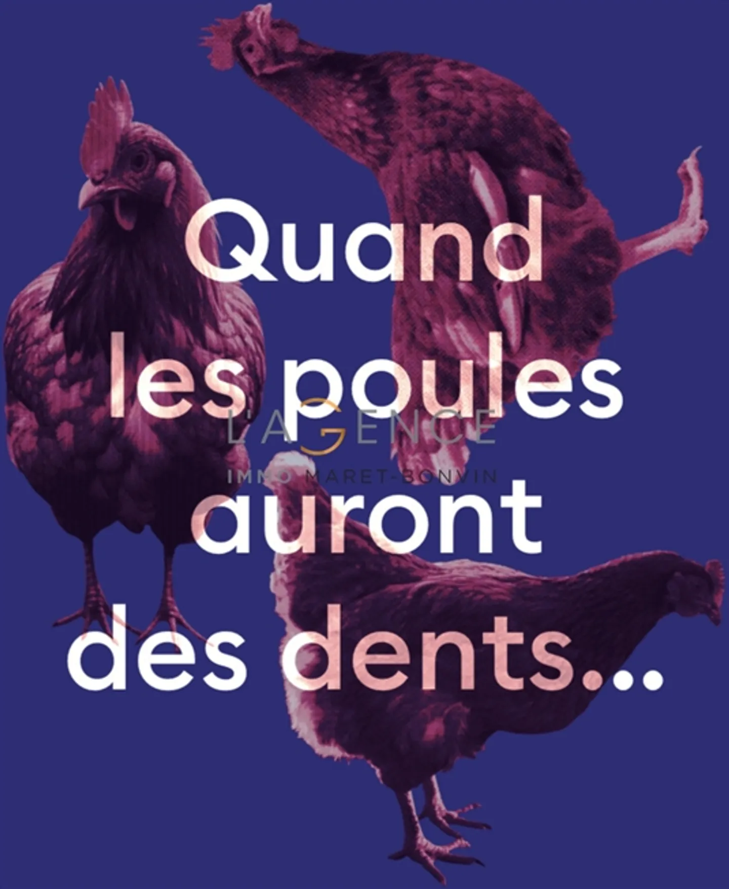 SAVIESE CENTRE - NEW ACTION - Photo 6 of 7