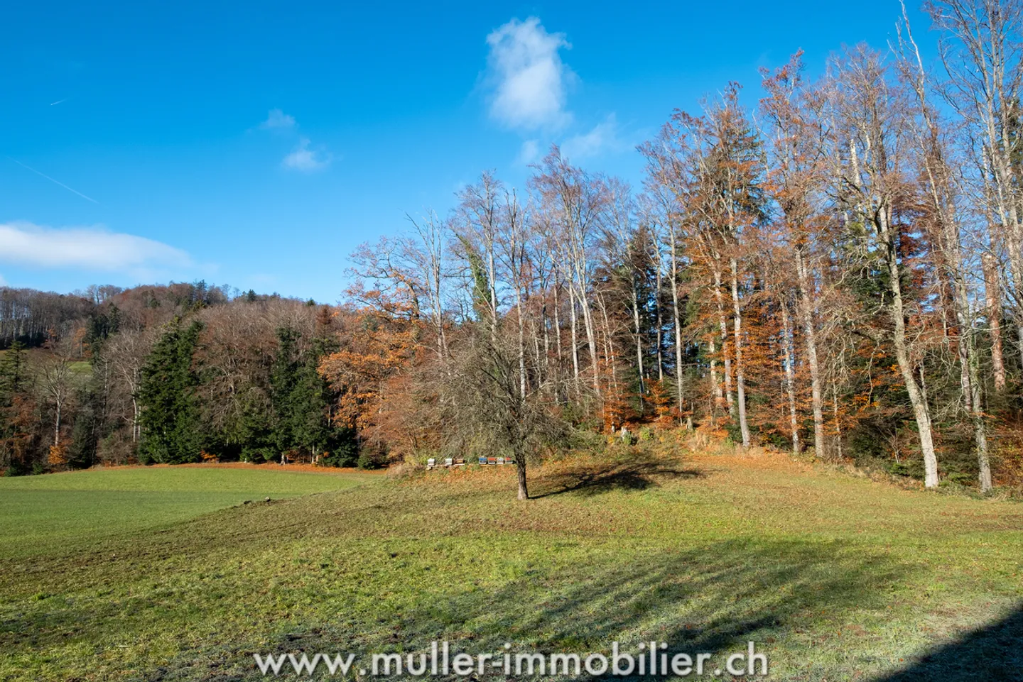 «Doppelhaushälfte am Fuße des Tour de Gourze» - Foto 13 von 13