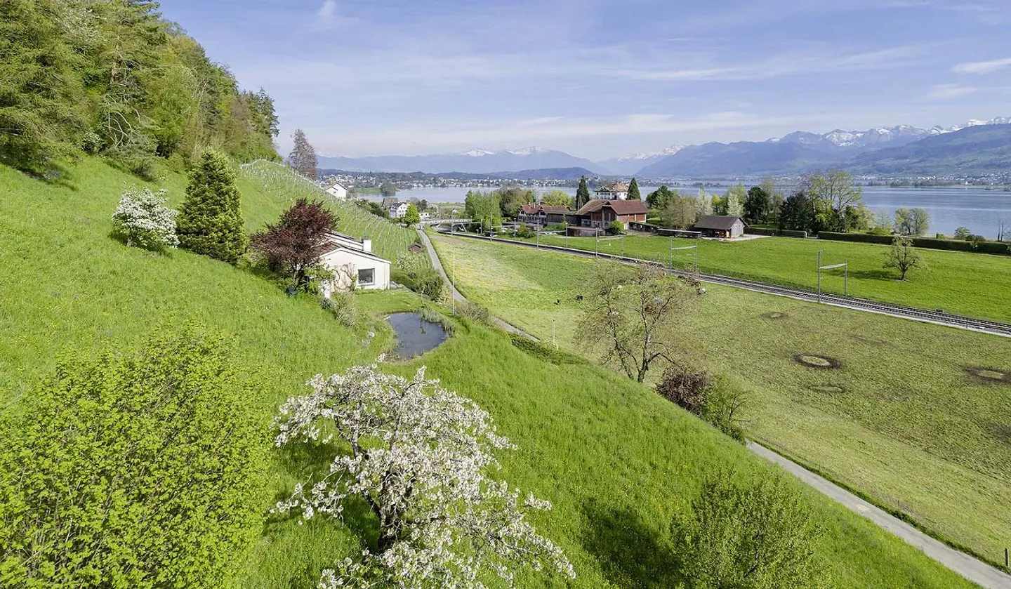 Panorama e Privacy: Proprietà Unica sul Lago di Zurigo - Foto 1 di 8