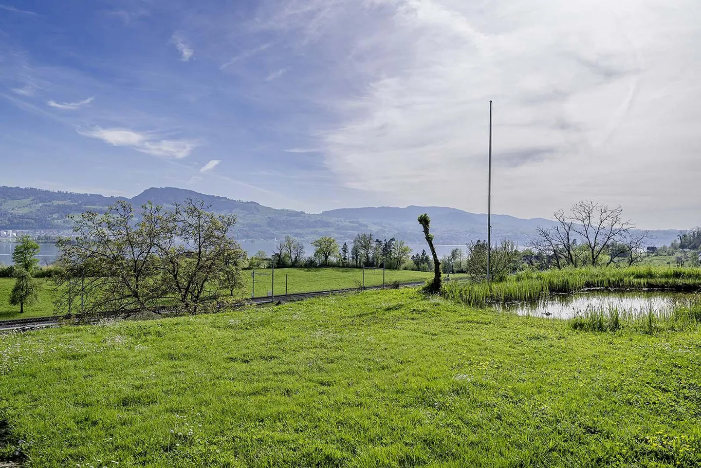 Panorama e Privacy: Proprietà Unica sul Lago di Zurigo - Foto 7 di 8