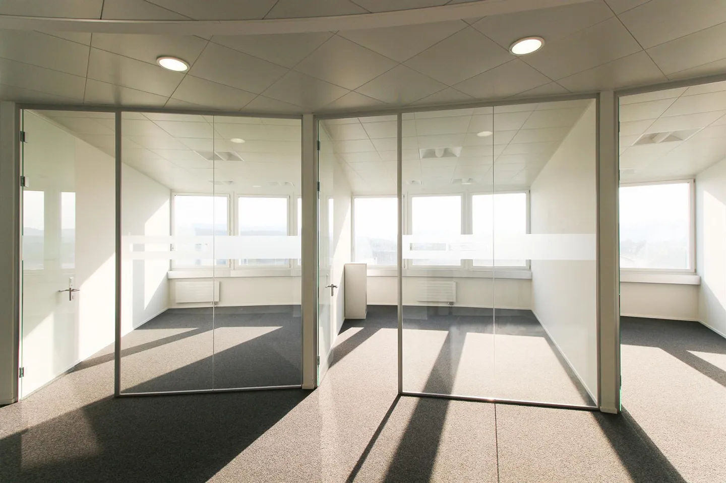 4-Tower's Steinhausen - Attractive Office Spaces for Rent - Photo 7 of 10