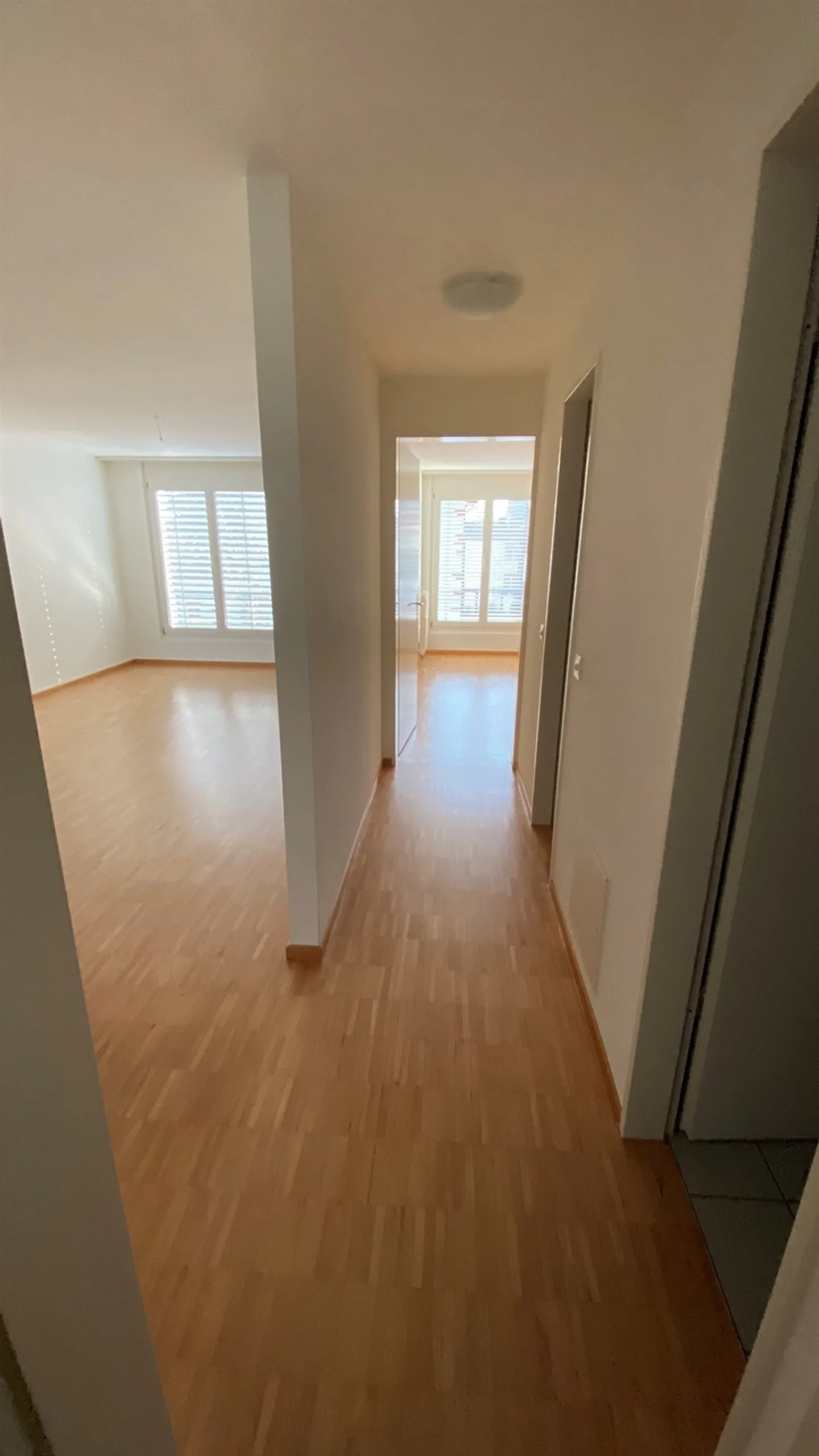 Charming 4.5-Room Apartment - Photo 4 of 8