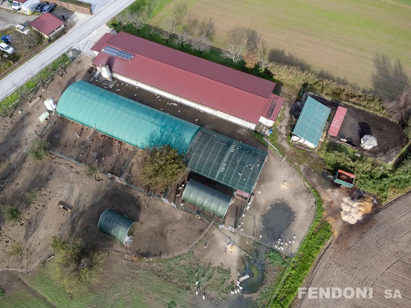 Proprietà Agroturismo a Magadino - Foto 11 di 11