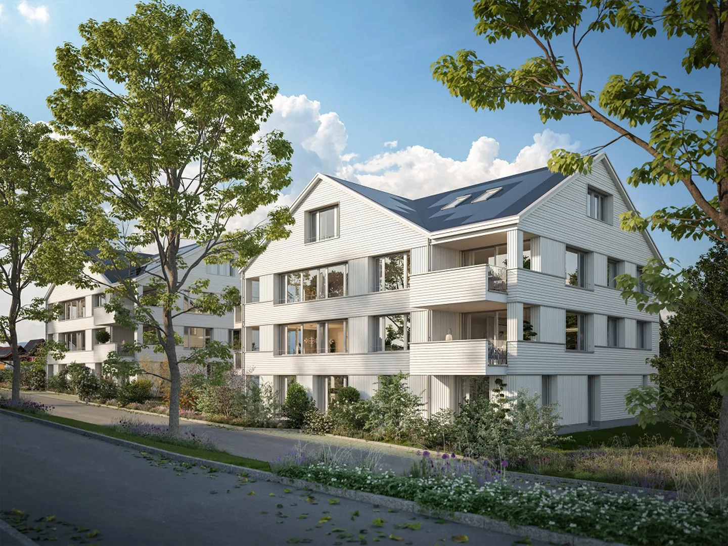 Project Announcement - New Construction in Heiden - Photo 1 of 3