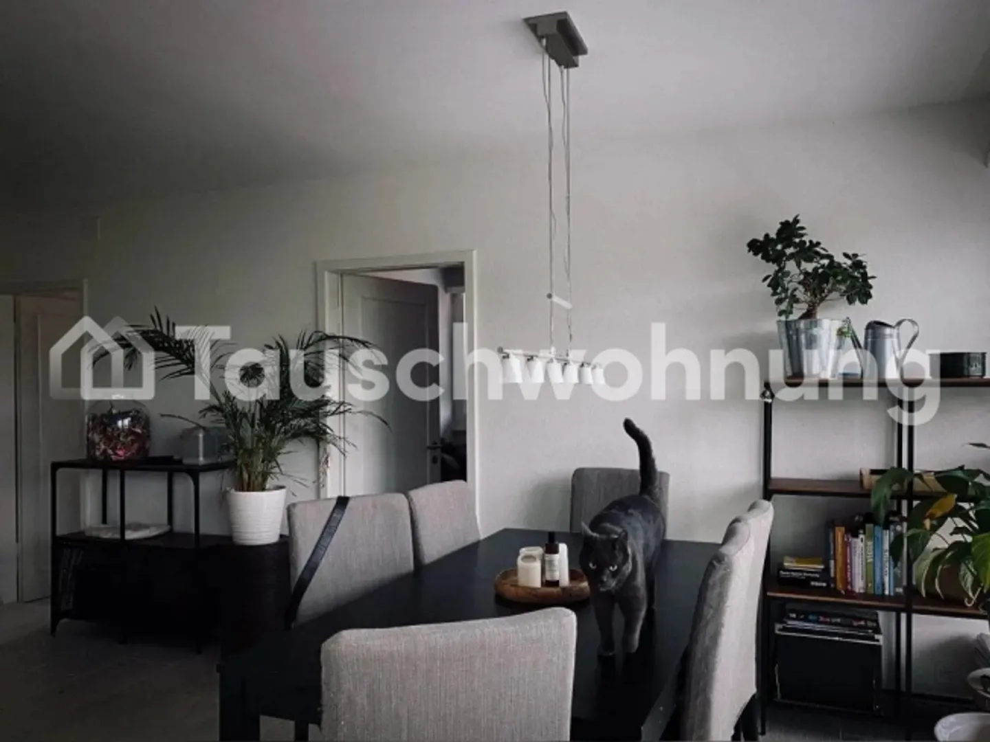 Modernes Apartment mit Balkon - Foto 1 von 1