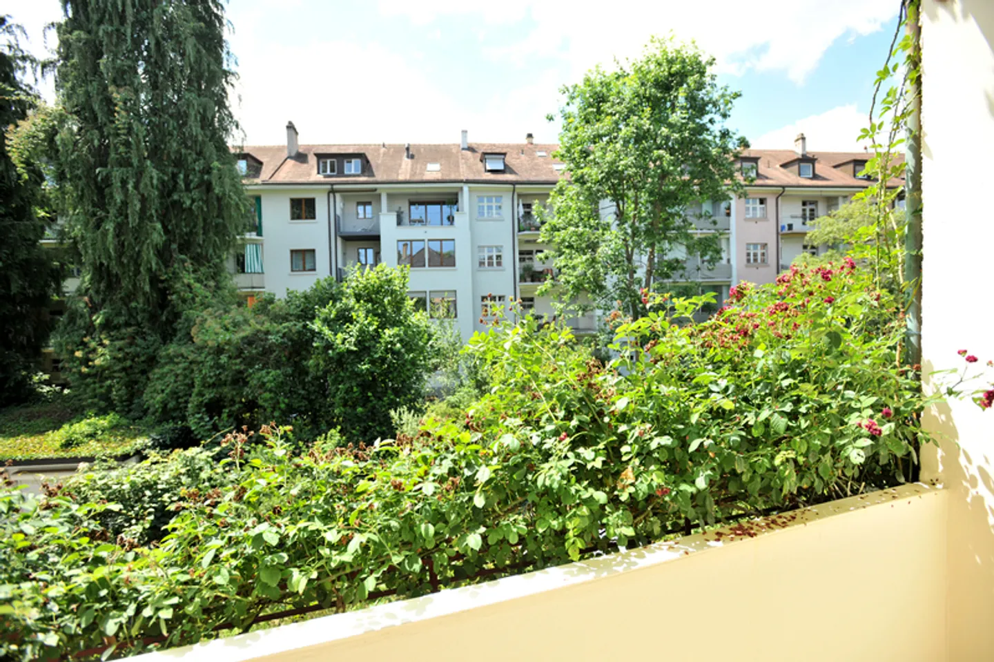 APPARTAMENTO 1½ STANZA A BASEL - BACHLETTEN/GOTTHELF, ARREDATO - Foto 9 di 10