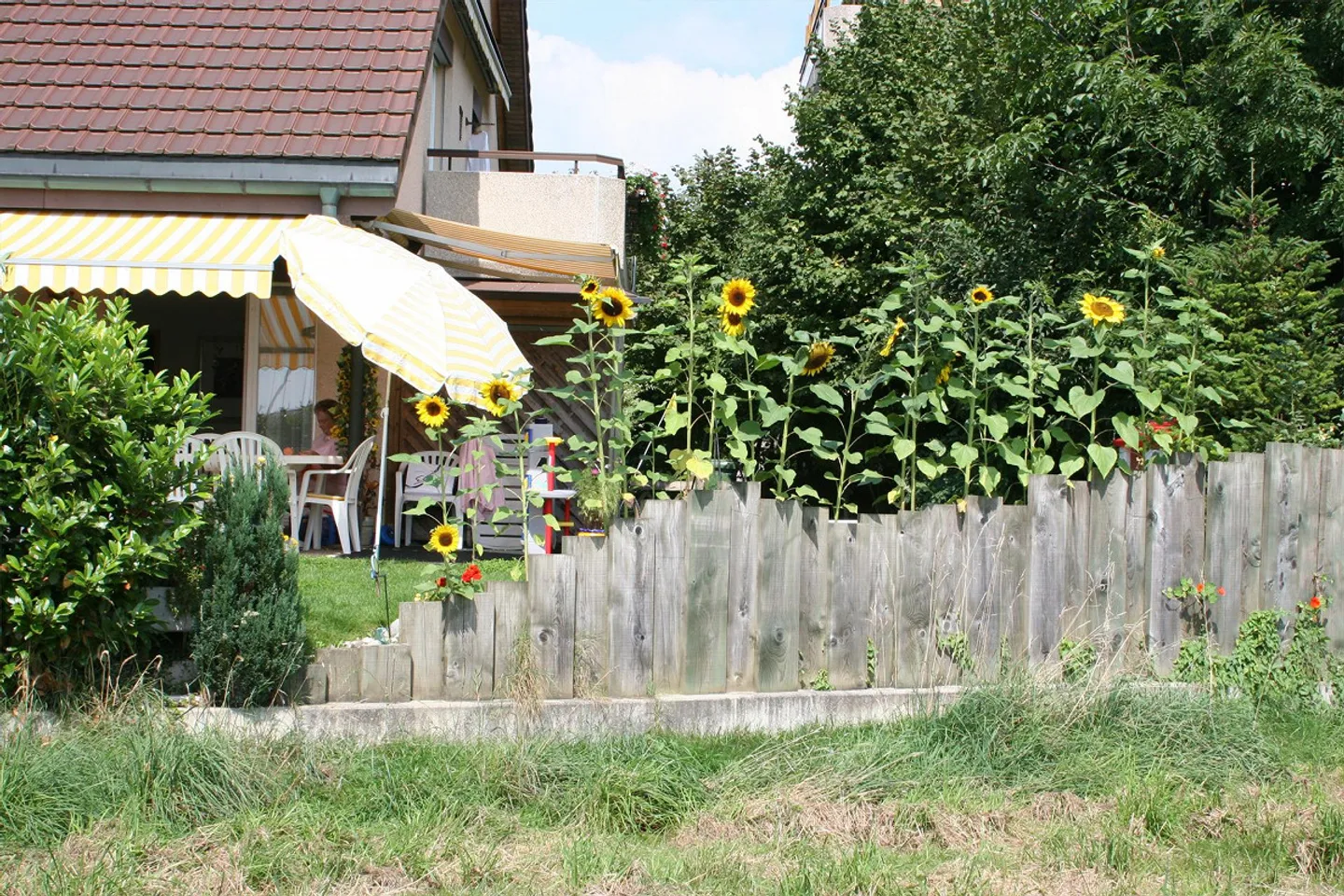 Charmantes Familienhaus - Foto 1 von 13