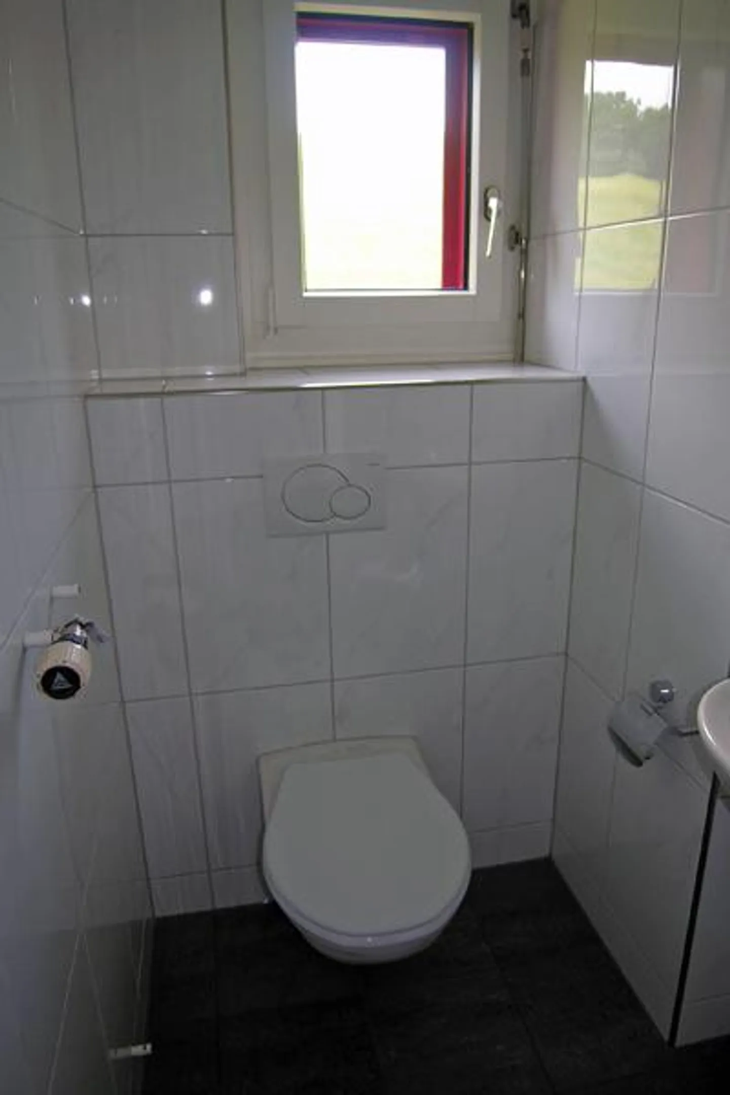 Vicino al lago di Lützelsee in un complesso simile a un parco - Foto 5 di 5