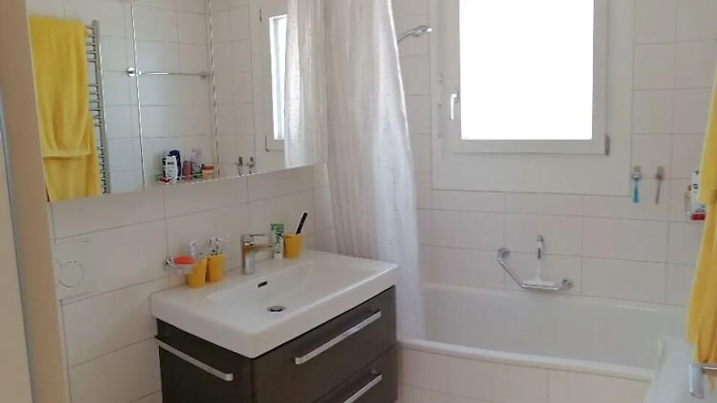 APPARTAMENTO ATTICO 3½ STANZE A ZURIGO - DISTRETTO 11 OERLIKON, ARREDATO, TEMPORANEO - Foto 7 di 10