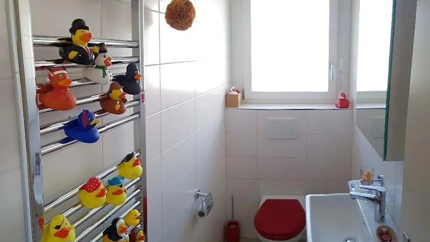 APPARTAMENTO ATTICO 3½ STANZE A ZURIGO - DISTRETTO 11 OERLIKON, ARREDATO, TEMPORANEO - Foto 8 di 10