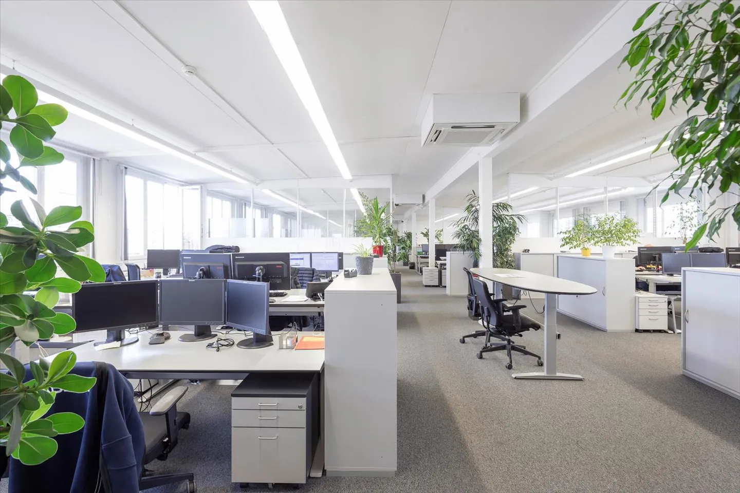 Werkplatz Altenrhein - a place to grow! - Photo 7 of 7