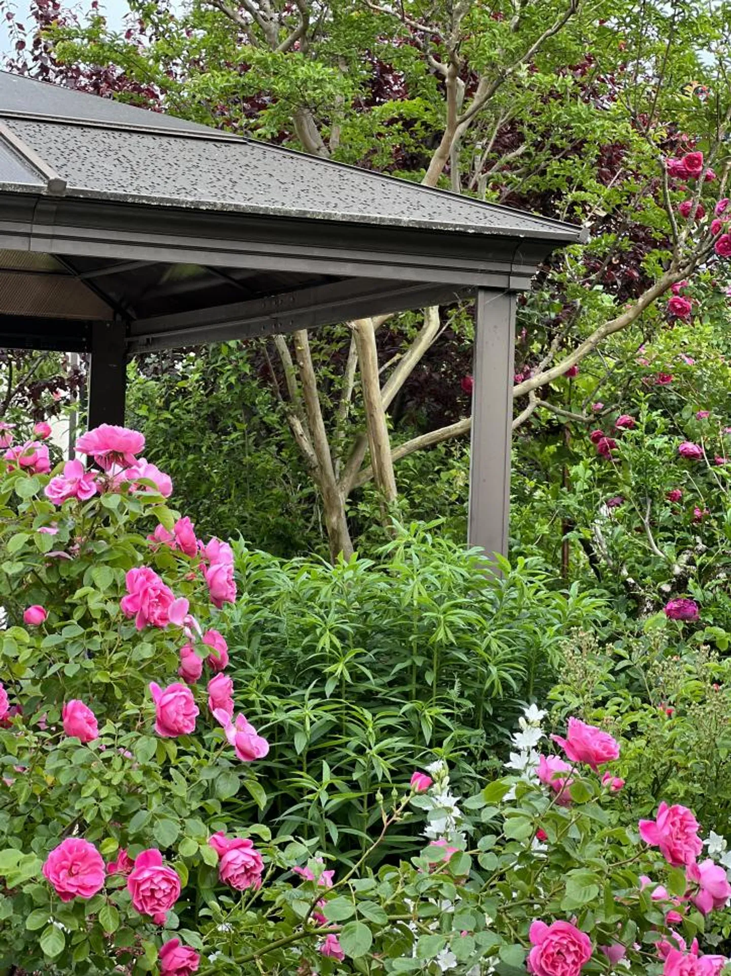 The Master's Property Out of Sight - Photo 1 of 1