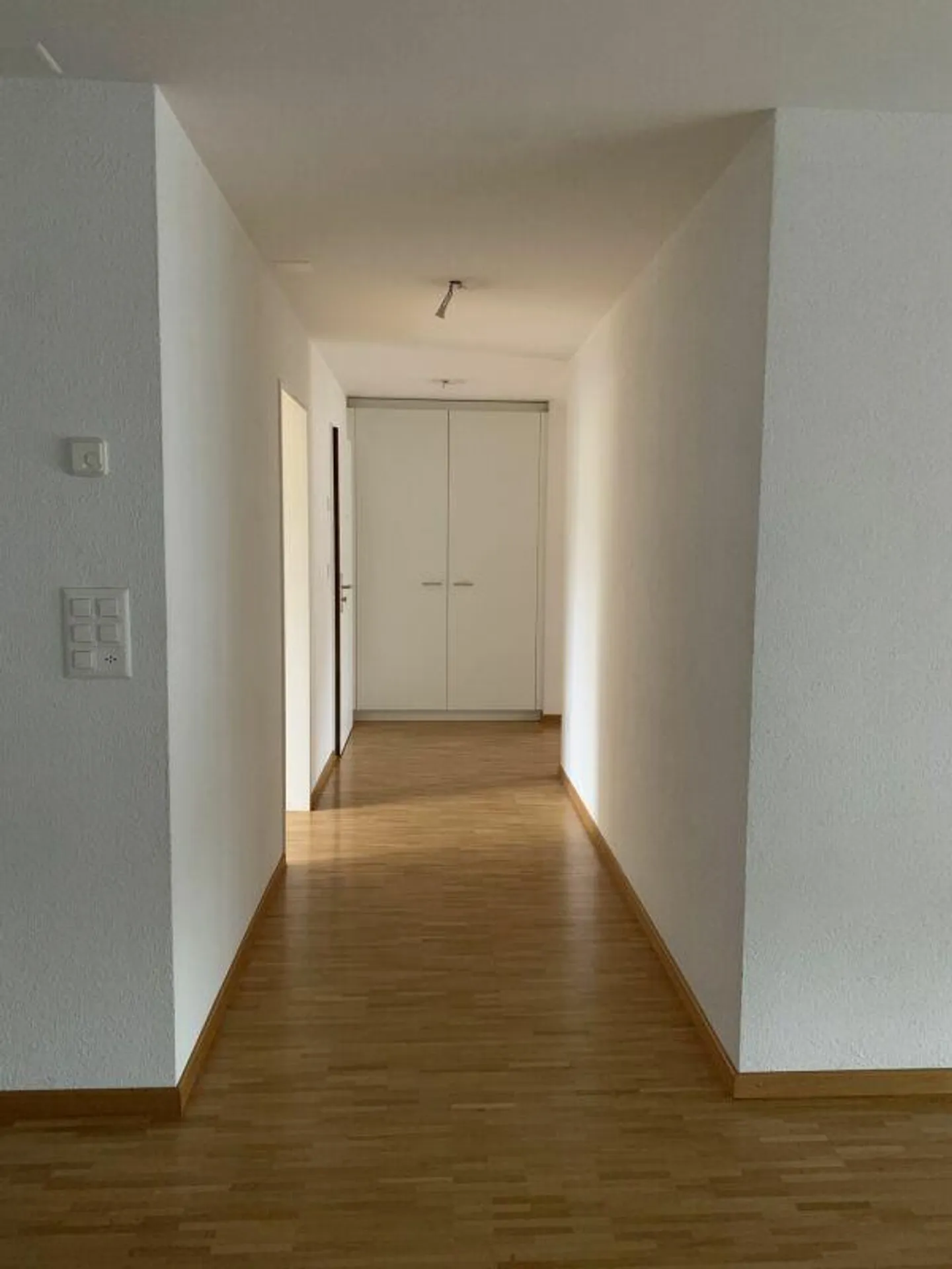 Bell'appartamento cerca un nuovo inquilino! - Foto 4 di 8