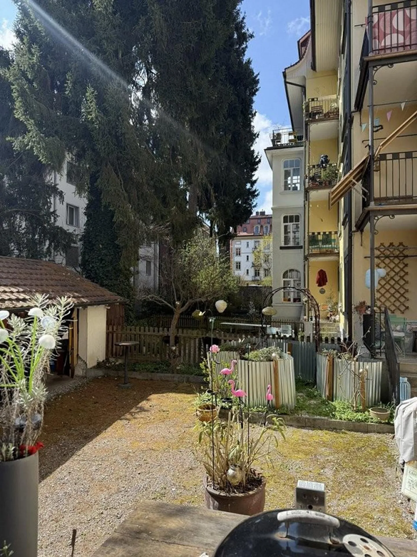 Appartamento moderno nel quartiere di Länggass - Foto 11 di 12