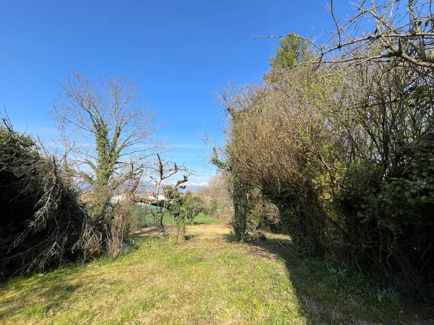 Appartamento 4 locali - Foto 13 di 15