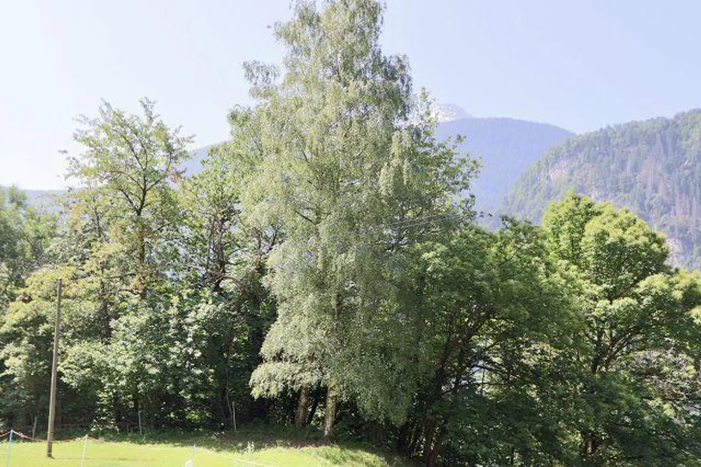 «Bauland von 491 mit Garage an sehr sonniger, ruhiger Aussichtslage / terreno edificabile con garage, molto soleggiato, tranquillo con bella vista» - Foto 5 von 10
